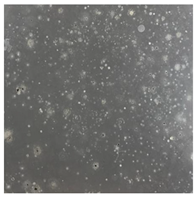 Toxics 13 00201 i025