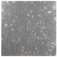 Toxics 13 00201 i028