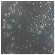 Toxics 13 00201 i030