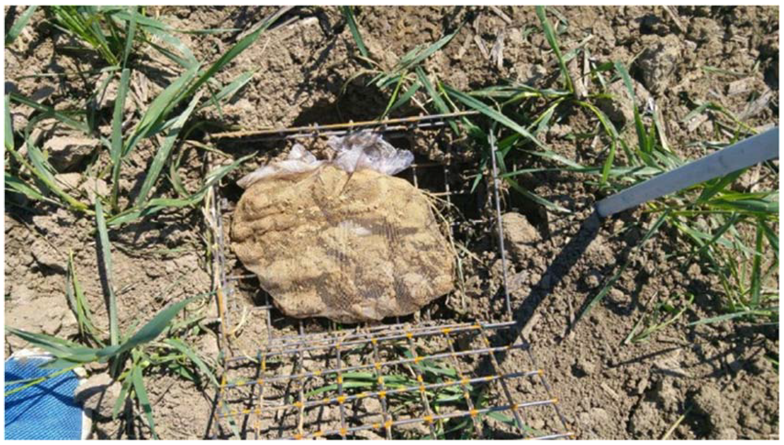 Toxics 13 00209 g003