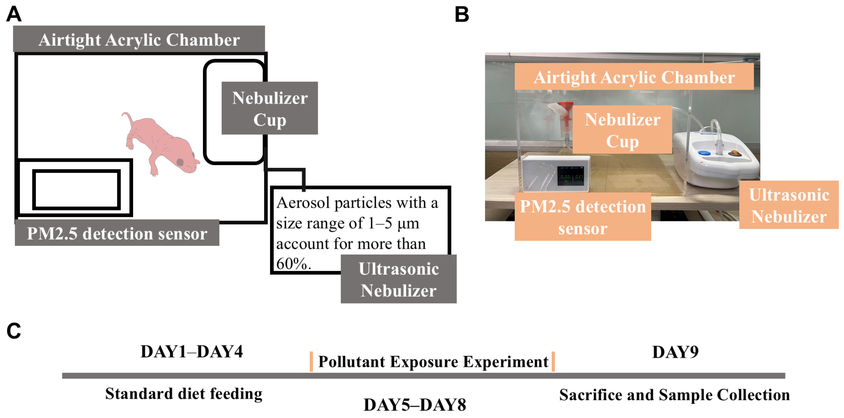 Toxics 13 00221 g001