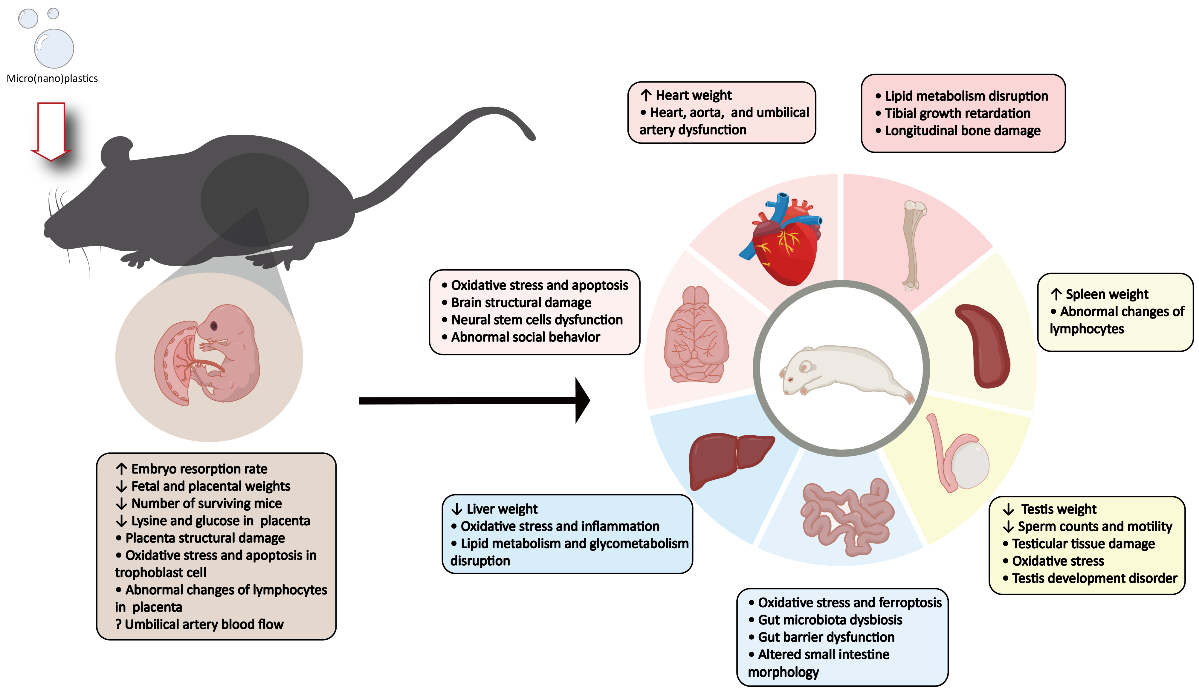 Toxics 13 00224 g003