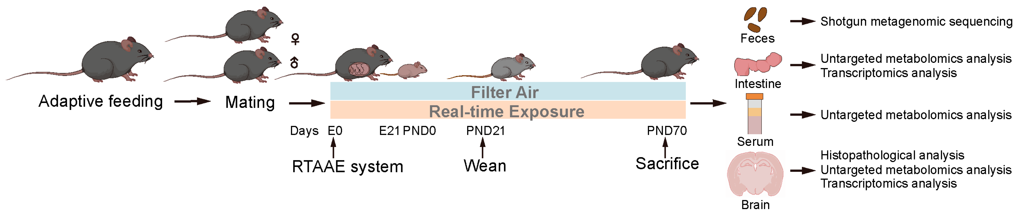 Toxics 13 00260 g001
