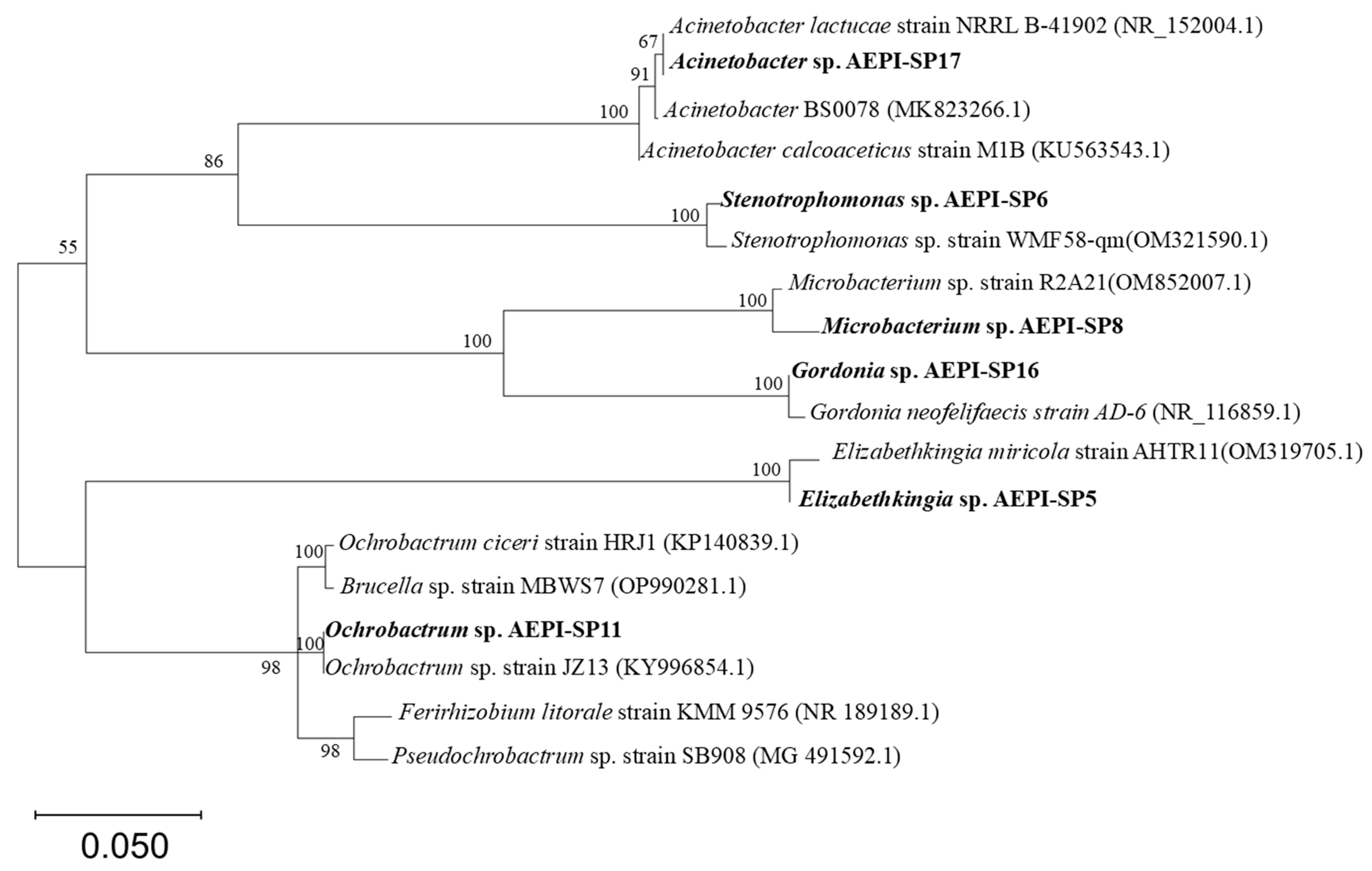 Toxics 13 00292 g001