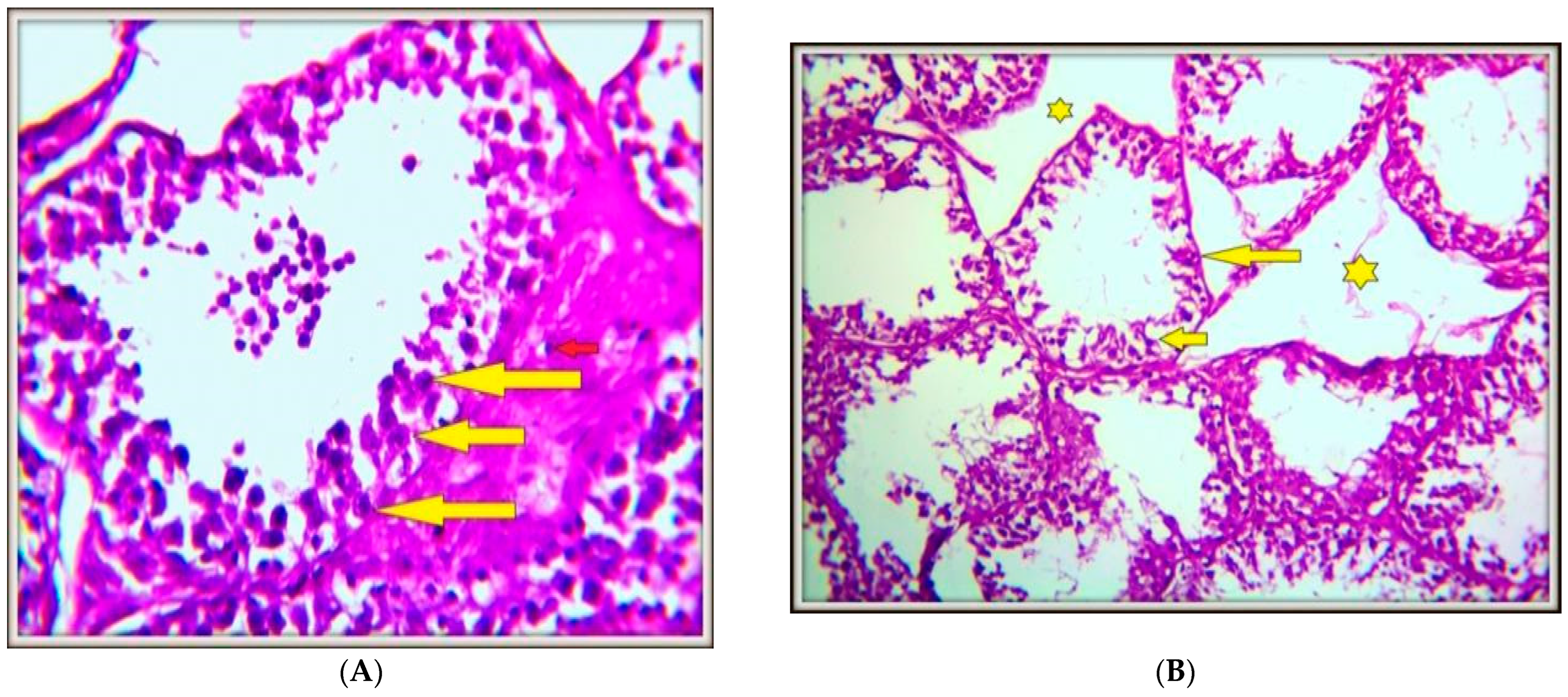 Toxics 13 00323 g002a Toxics 13 00323 g002a