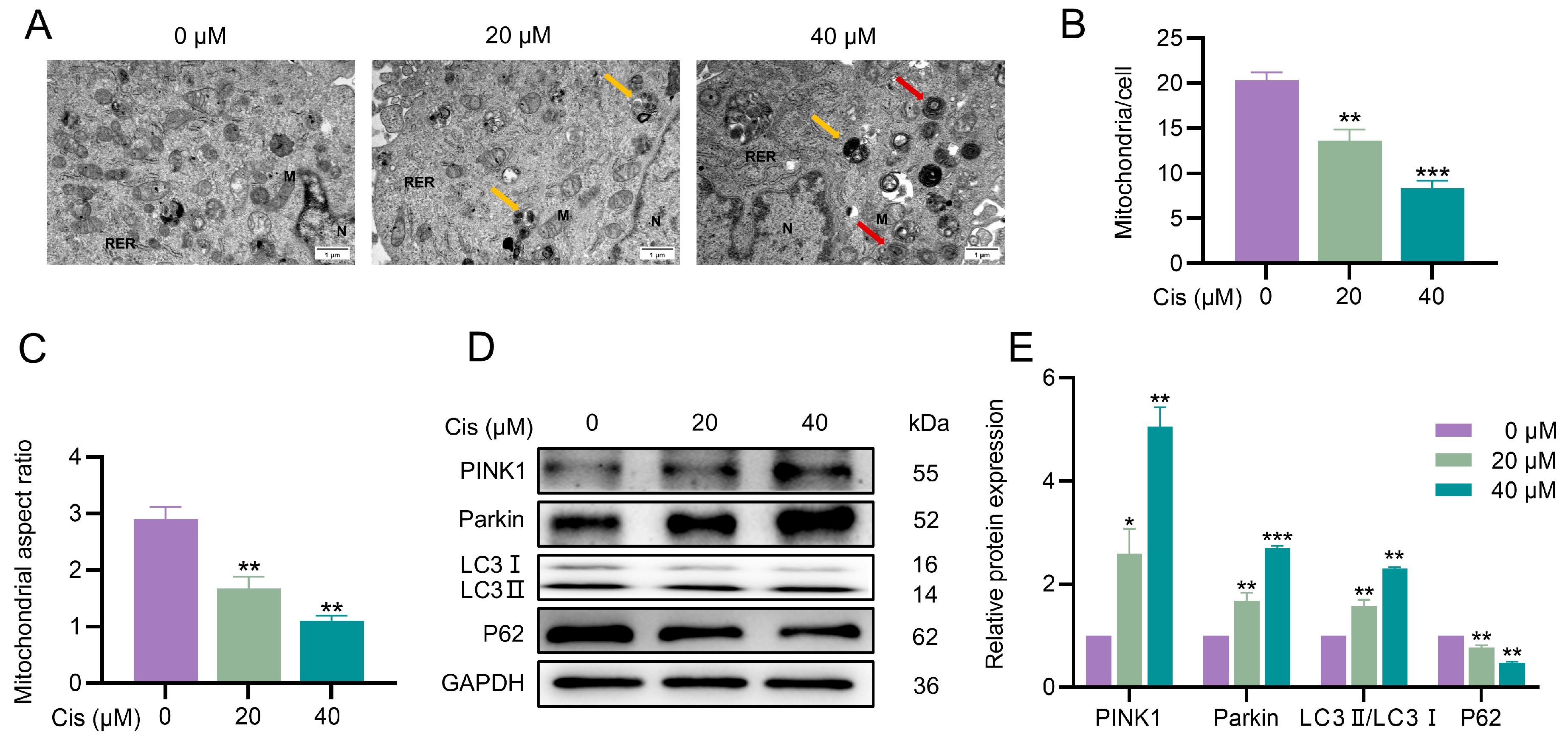 Toxics 13 00332 g003