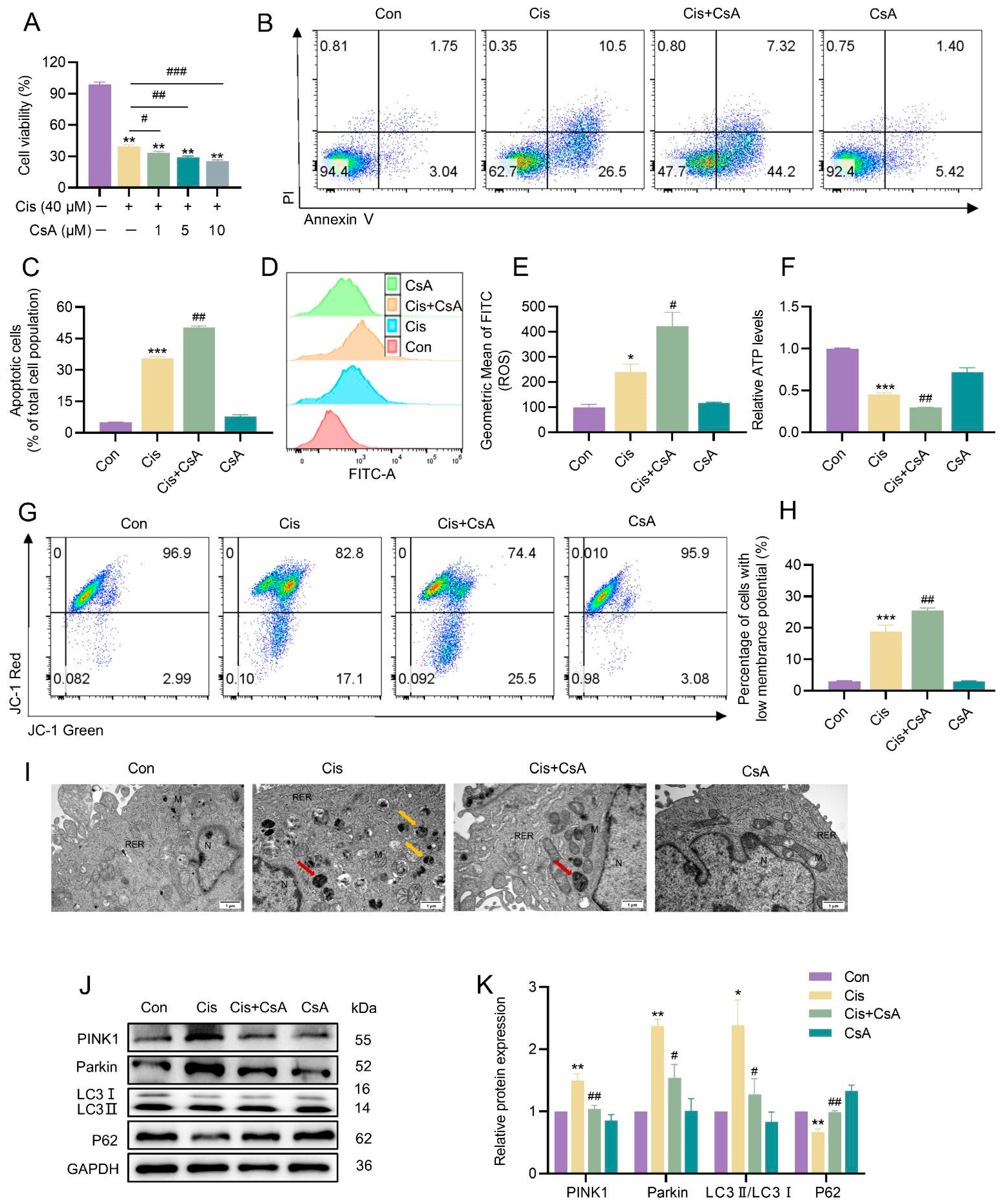 Toxics 13 00332 g004