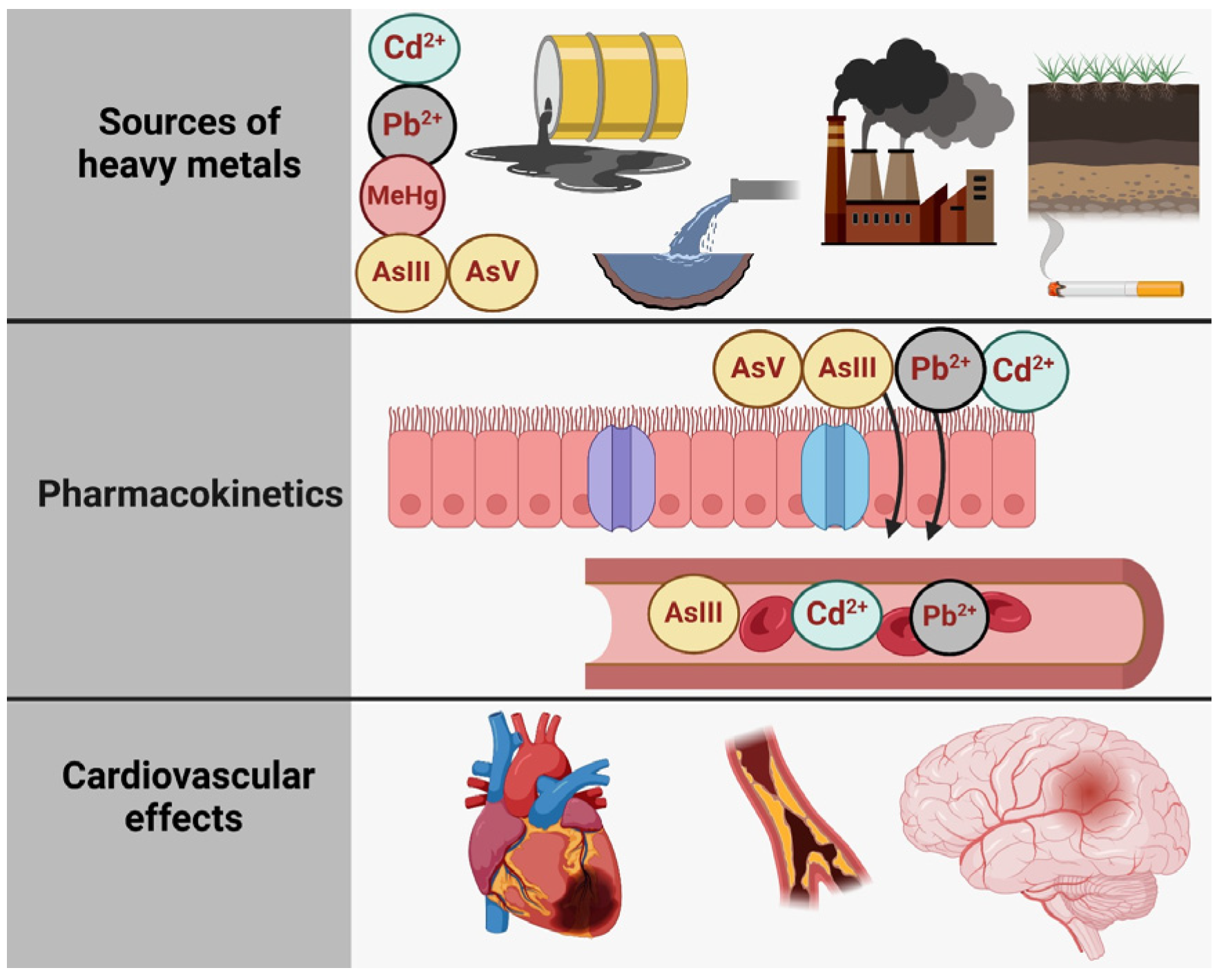 Toxics 13 00333 g001