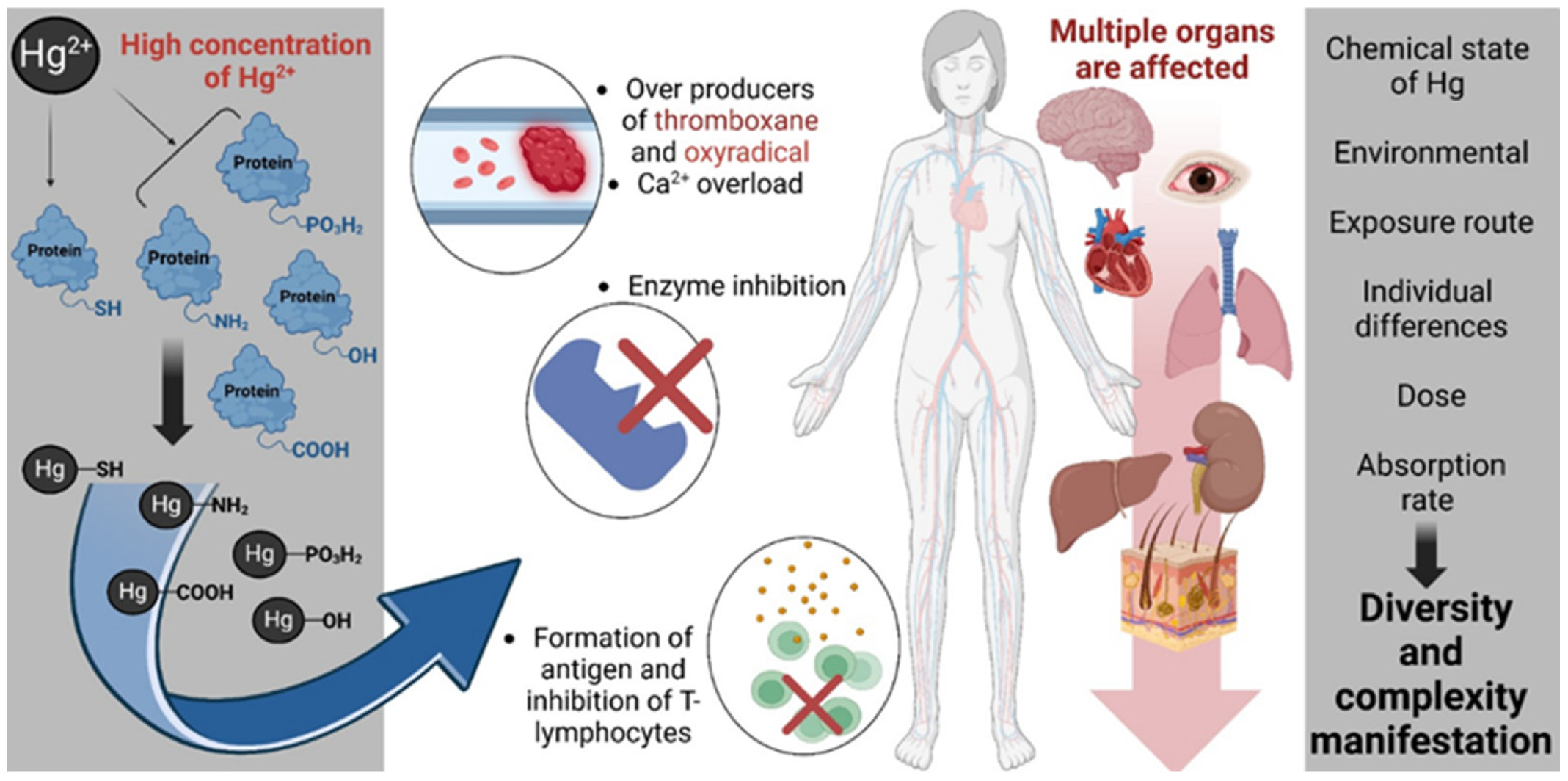 Toxics 13 00333 g004