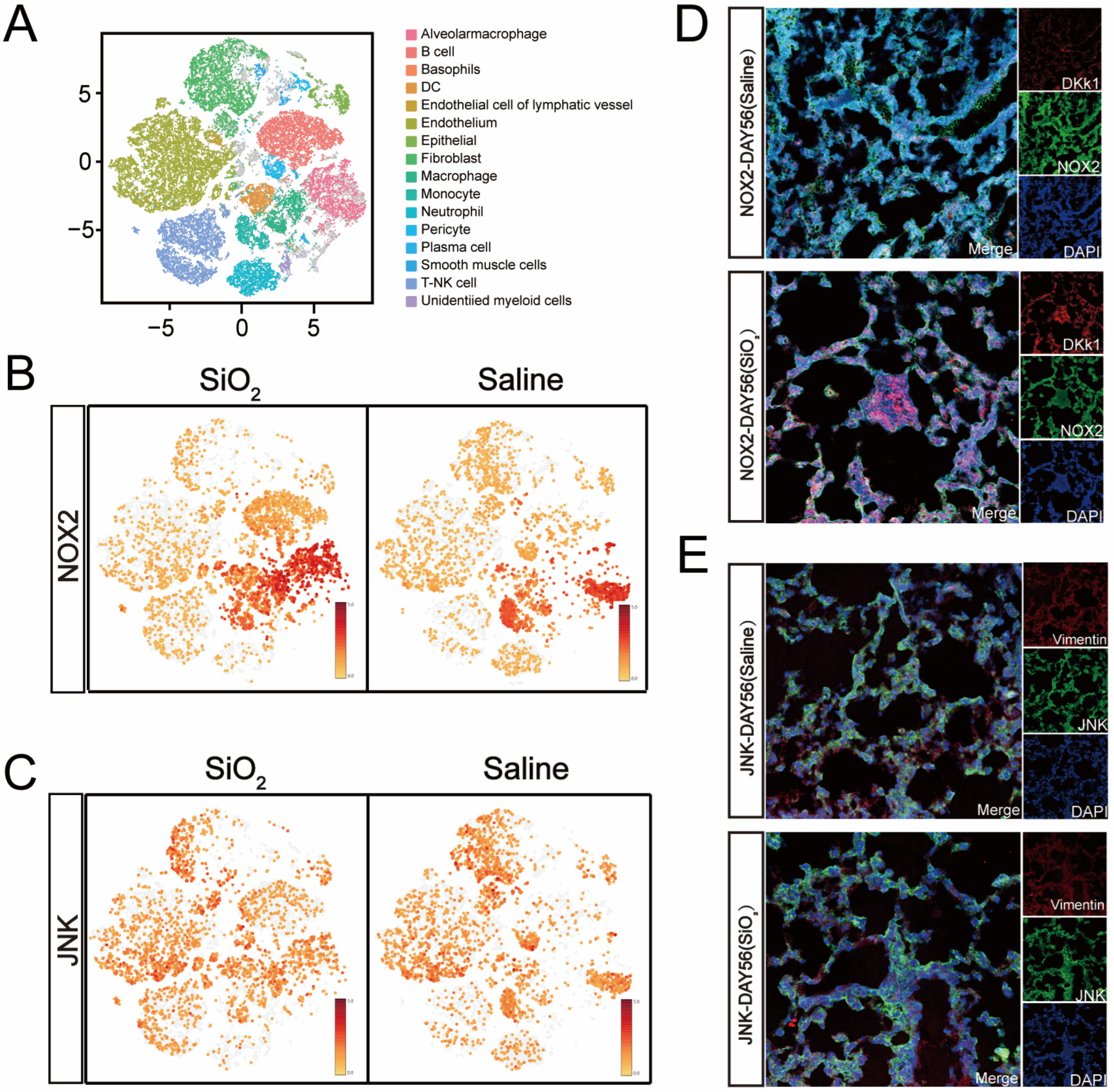Toxics 13 00365 g002