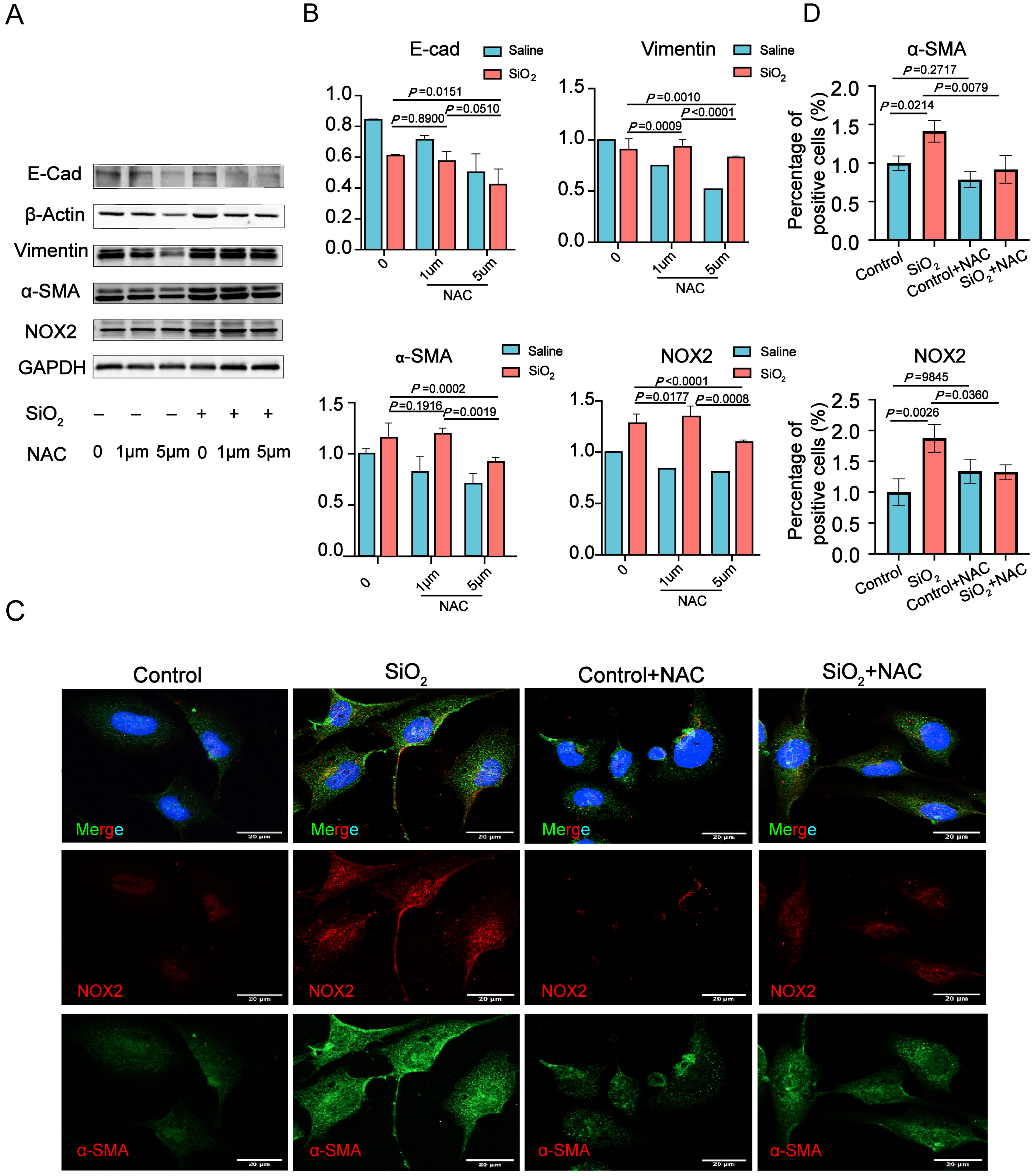 Toxics 13 00365 g003