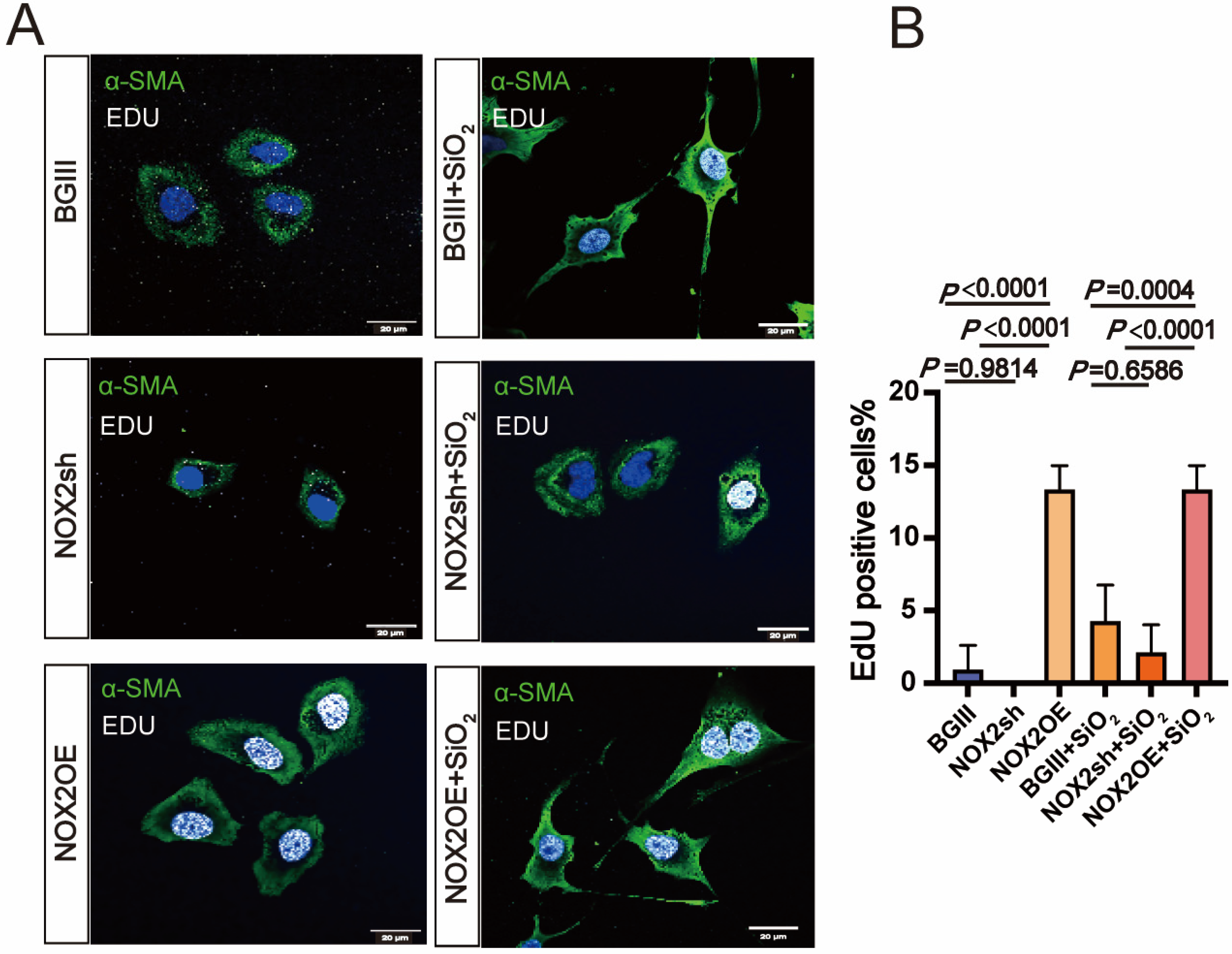 Toxics 13 00365 g005