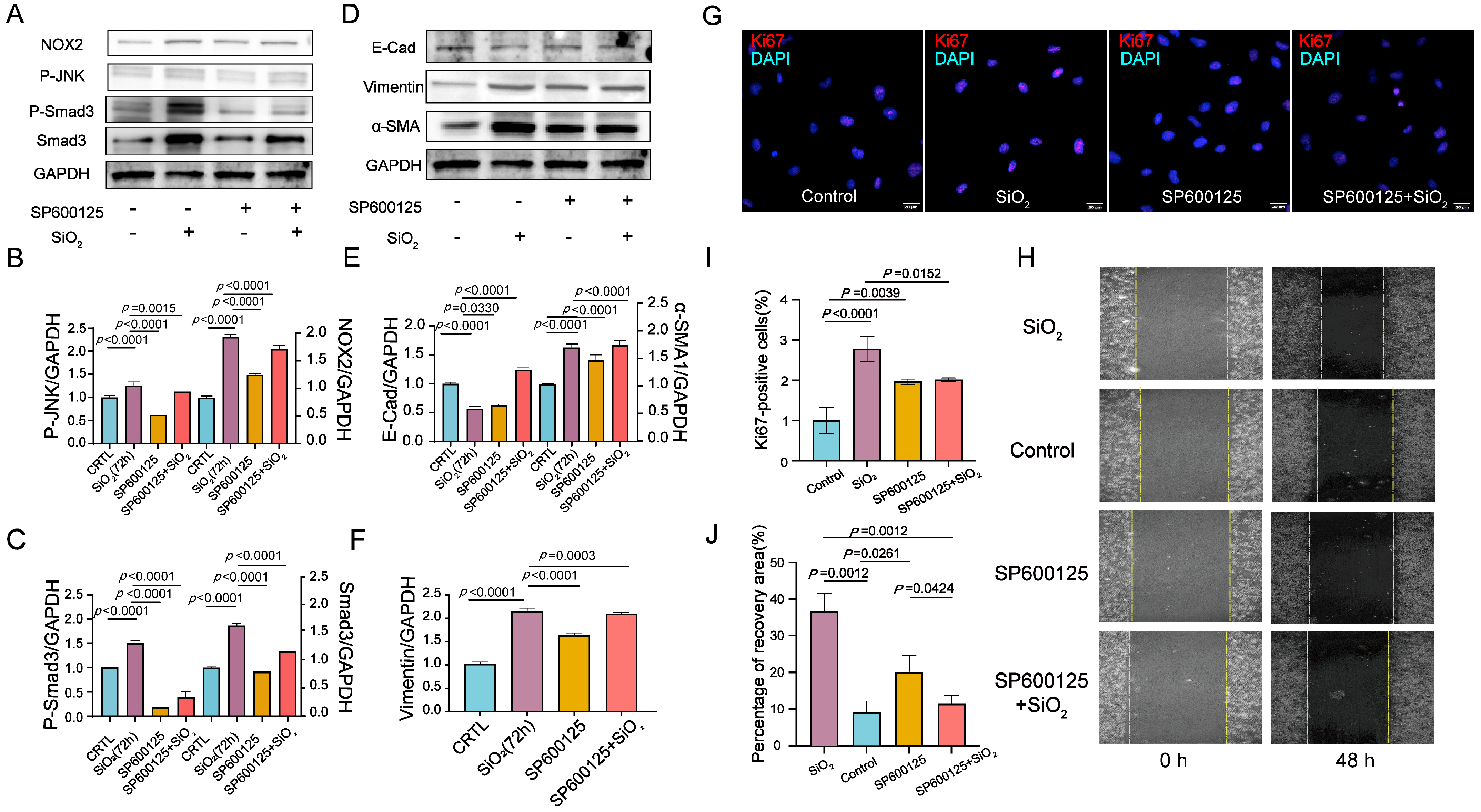 Toxics 13 00365 g006