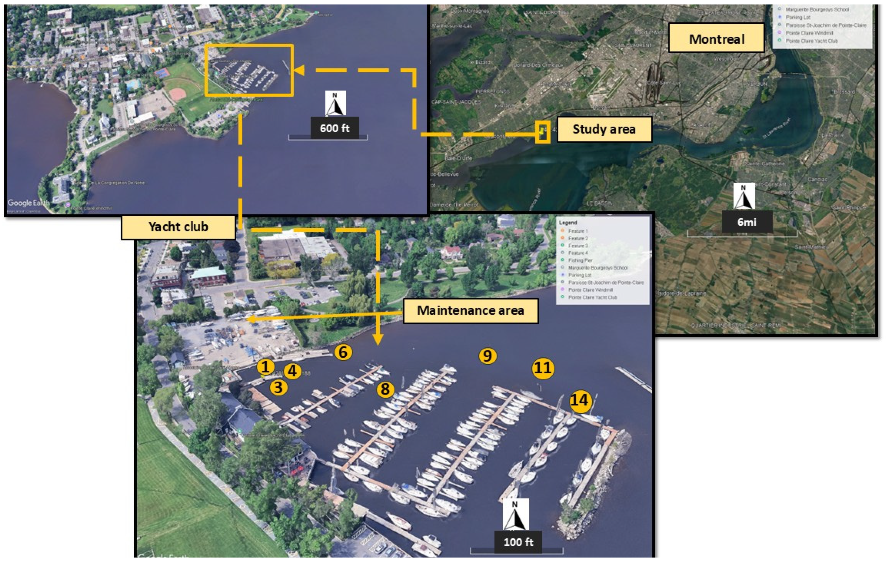 Toxics 13 00432 g001 Toxics 13 00432 g001
