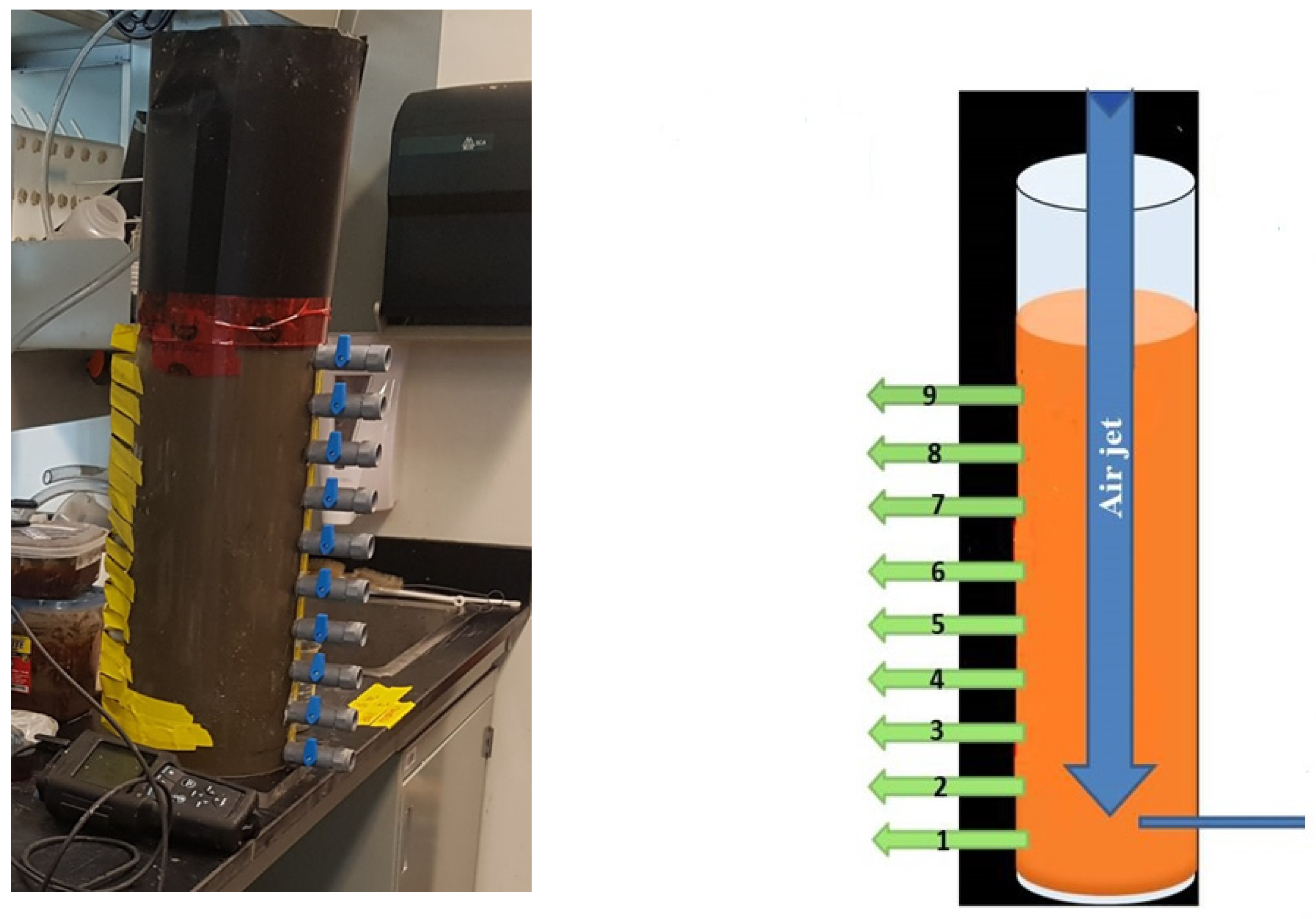 Toxics 13 00432 g002 Toxics 13 00432 g002