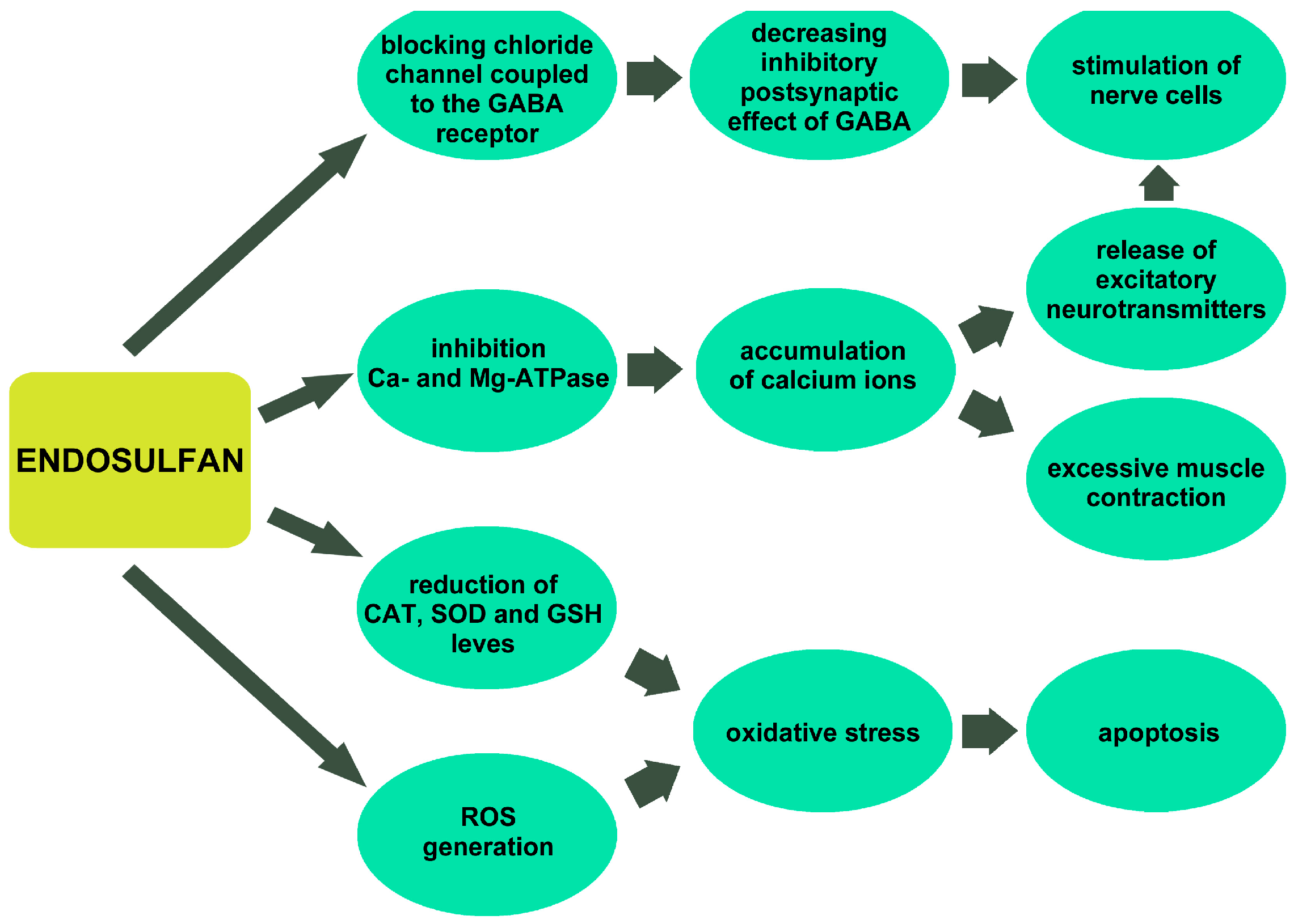 Toxics 13 00455 g001 Toxics 13 00455 g001