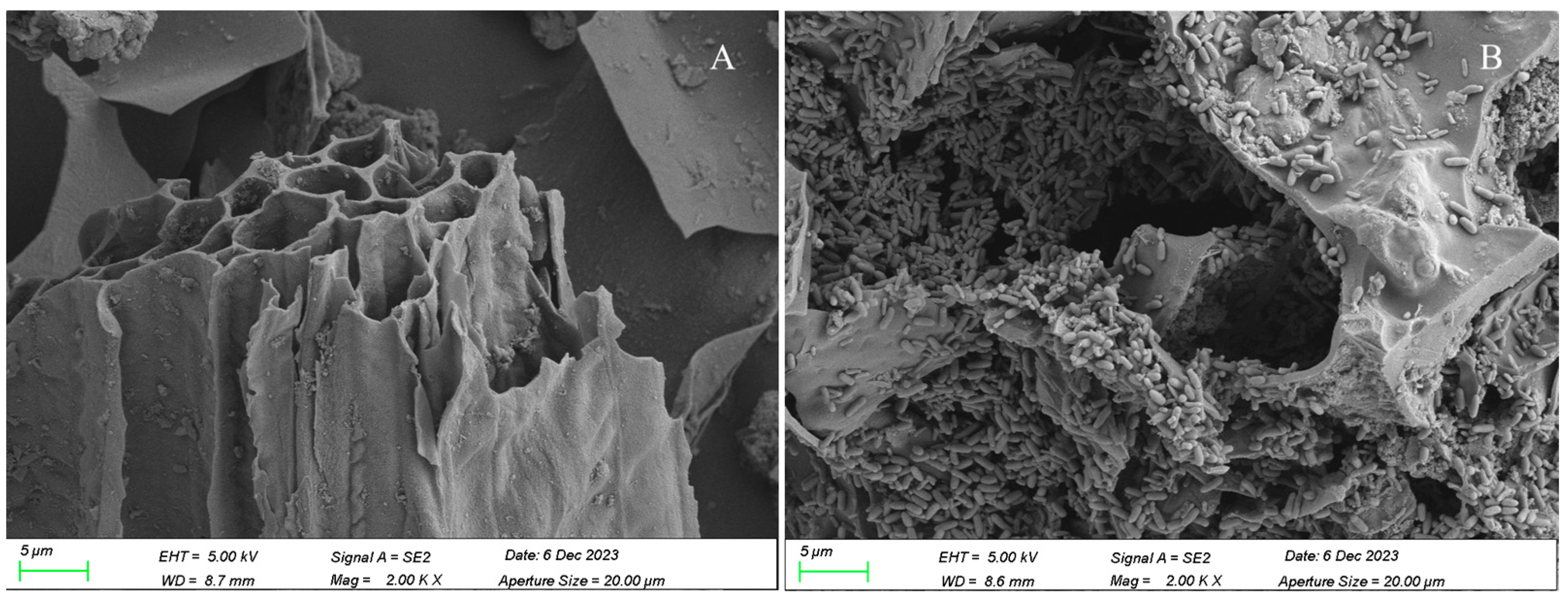 Toxics 13 00599 g003