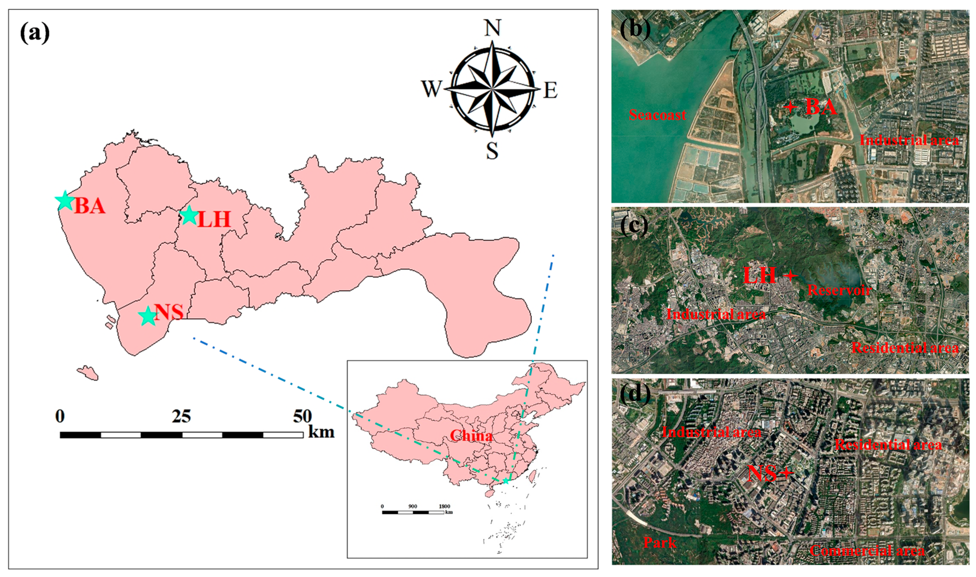 Toxics 13 00643 g001