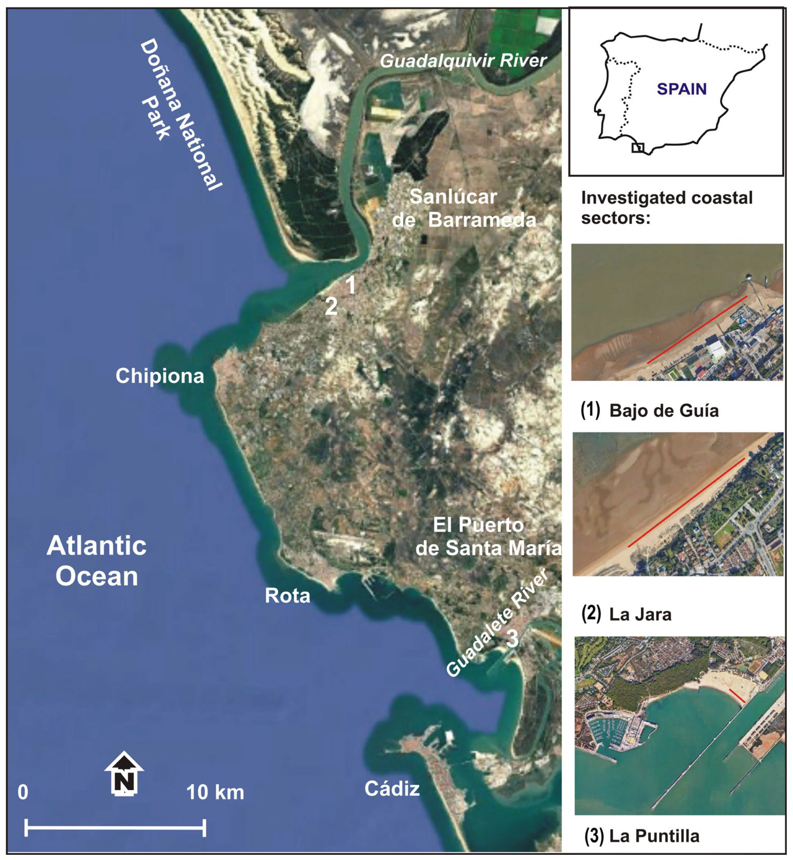 Toxics 13 00673 g001 Toxics 13 00673 g001