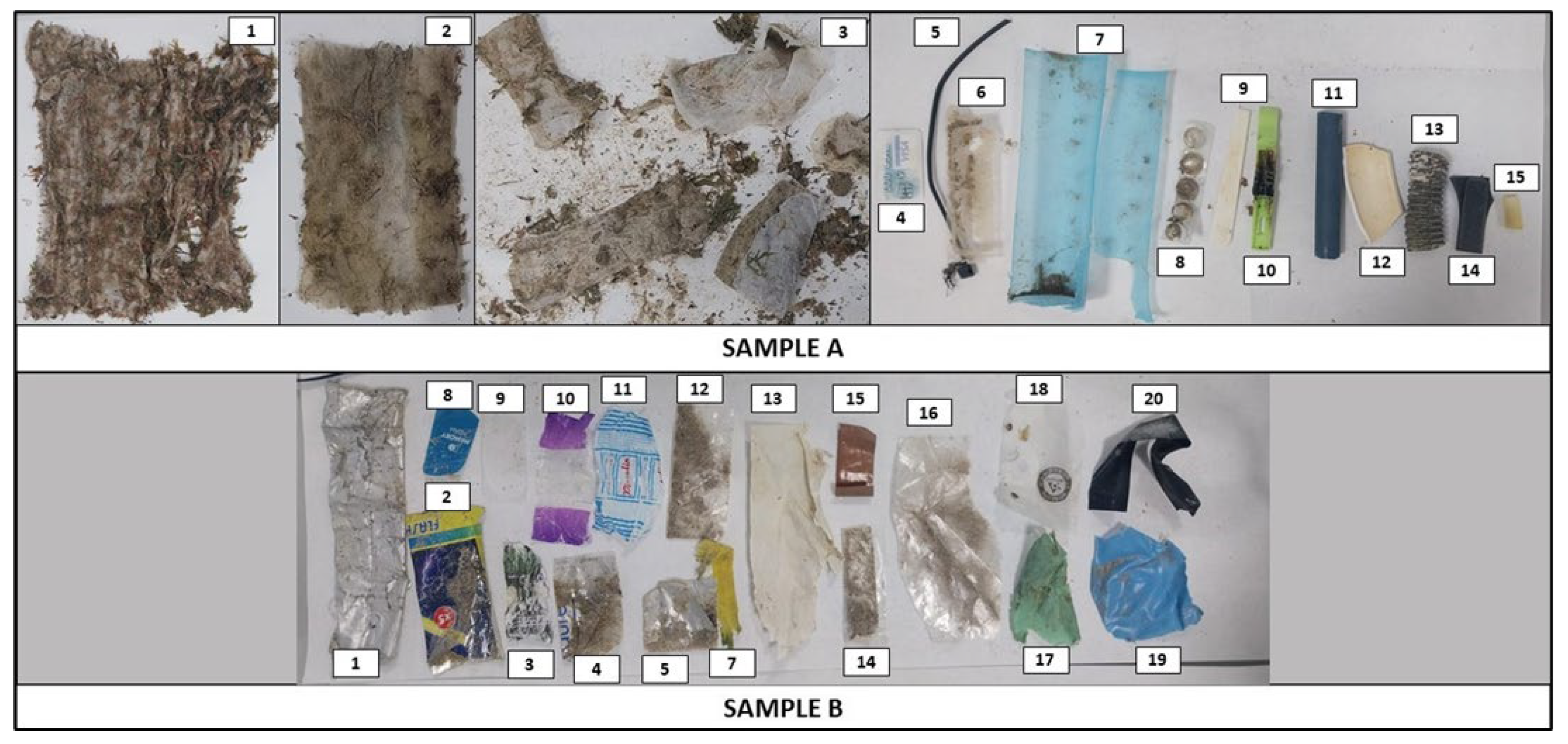 Toxics 13 00673 g002 Toxics 13 00673 g002