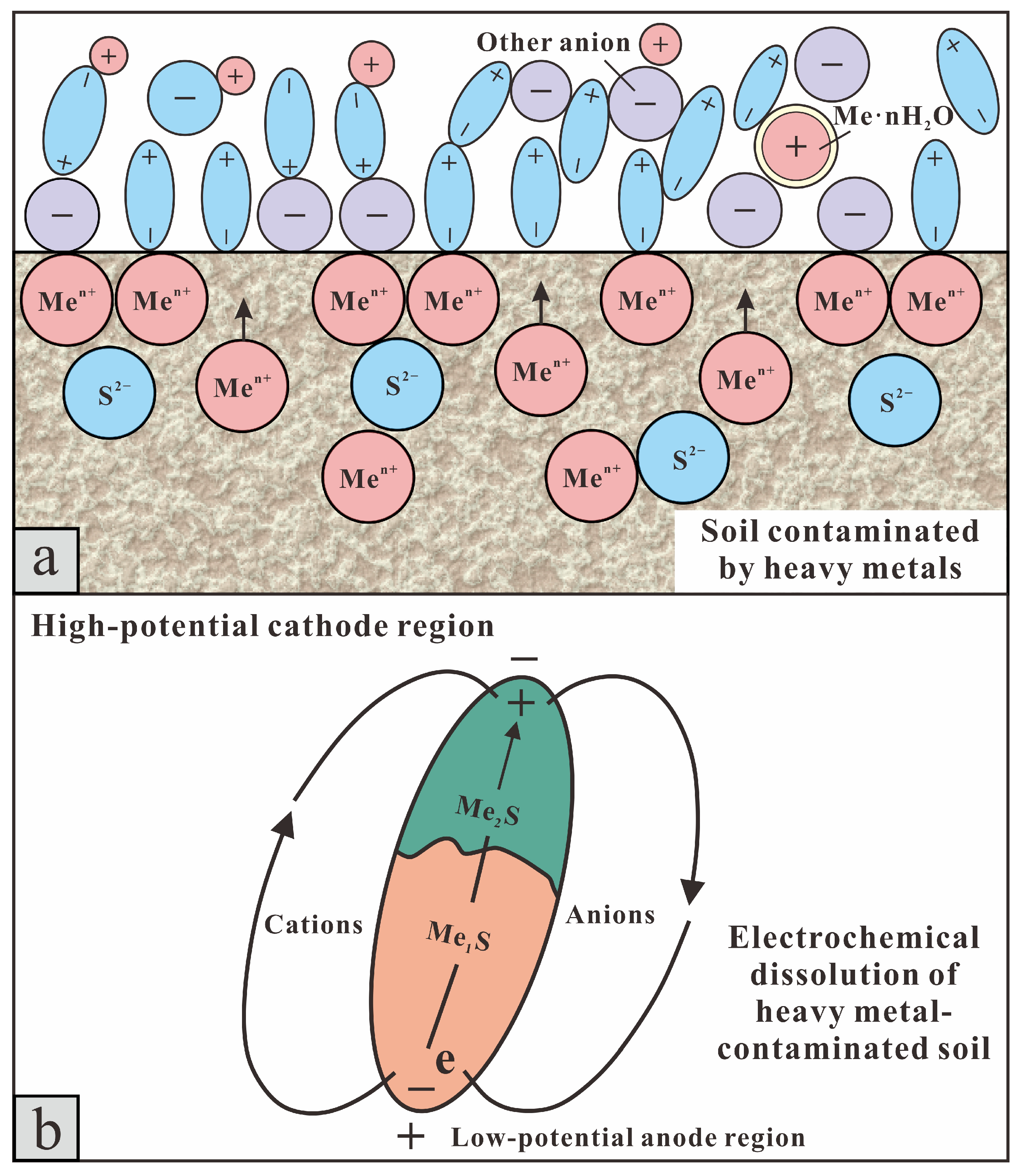 Toxics 13 00728 g008 Toxics 13 00728 g008