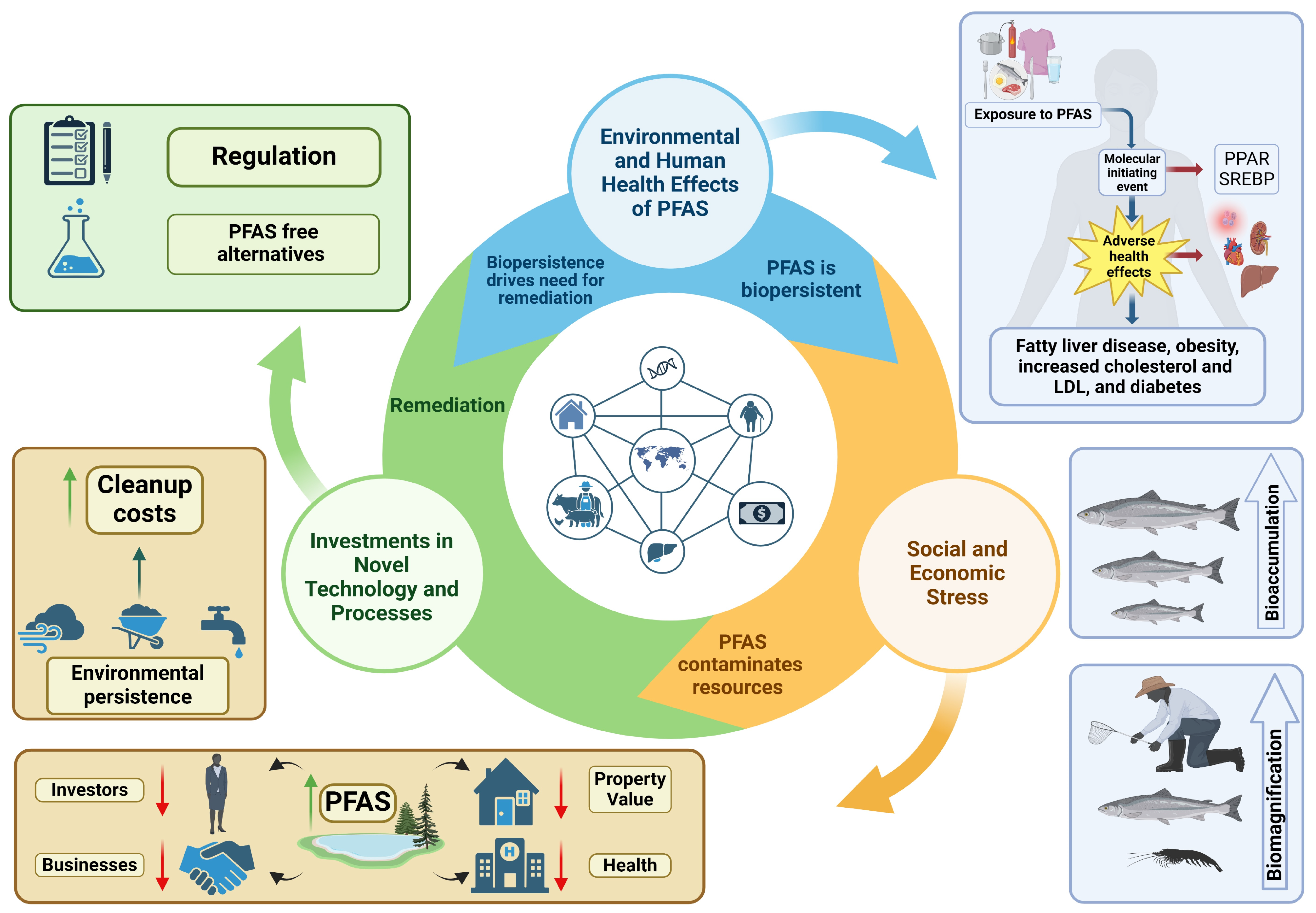 Toxics 13 00732 g001 Toxics 13 00732 g001
