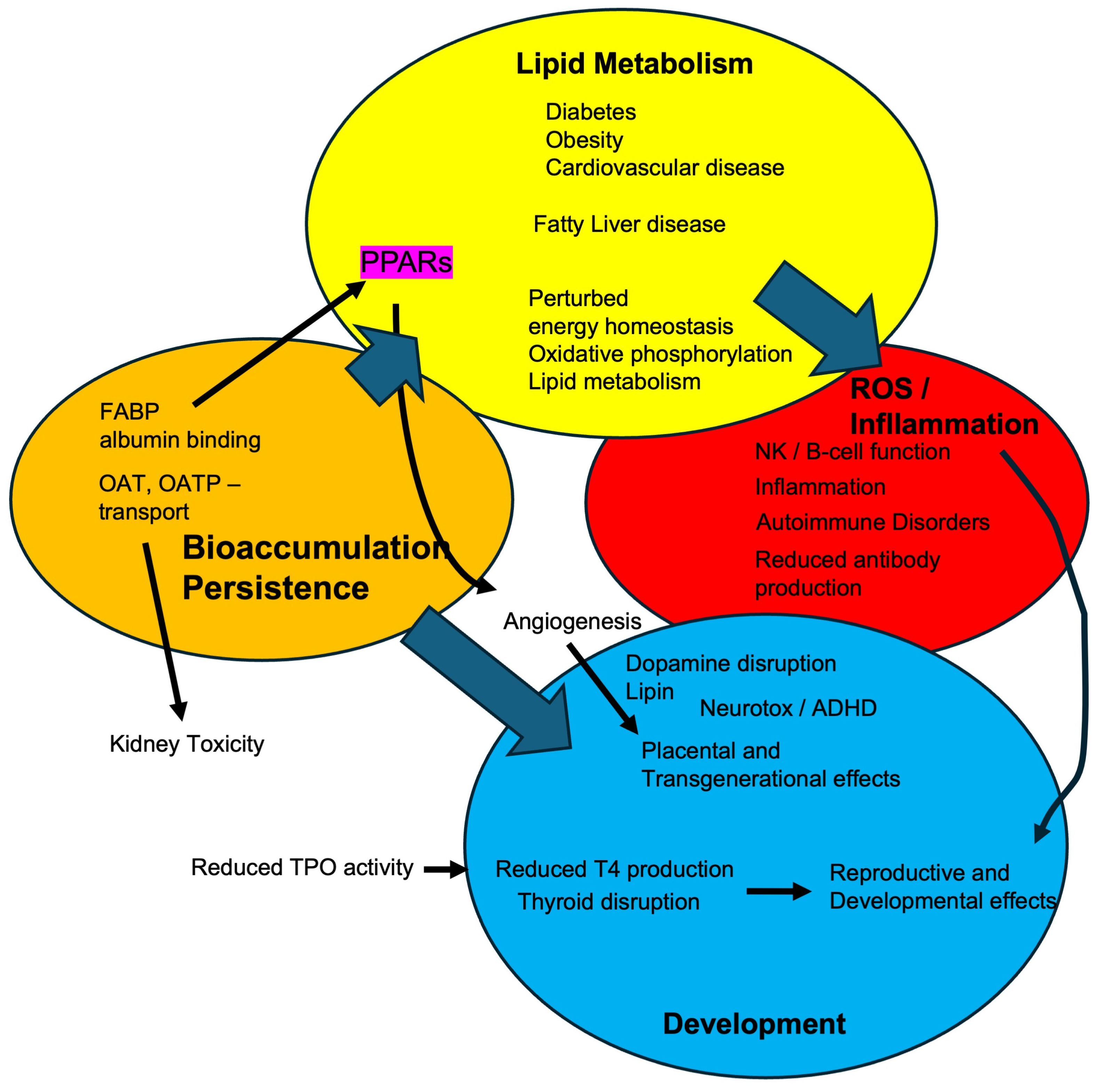 Toxics 13 00732 g003 Toxics 13 00732 g003