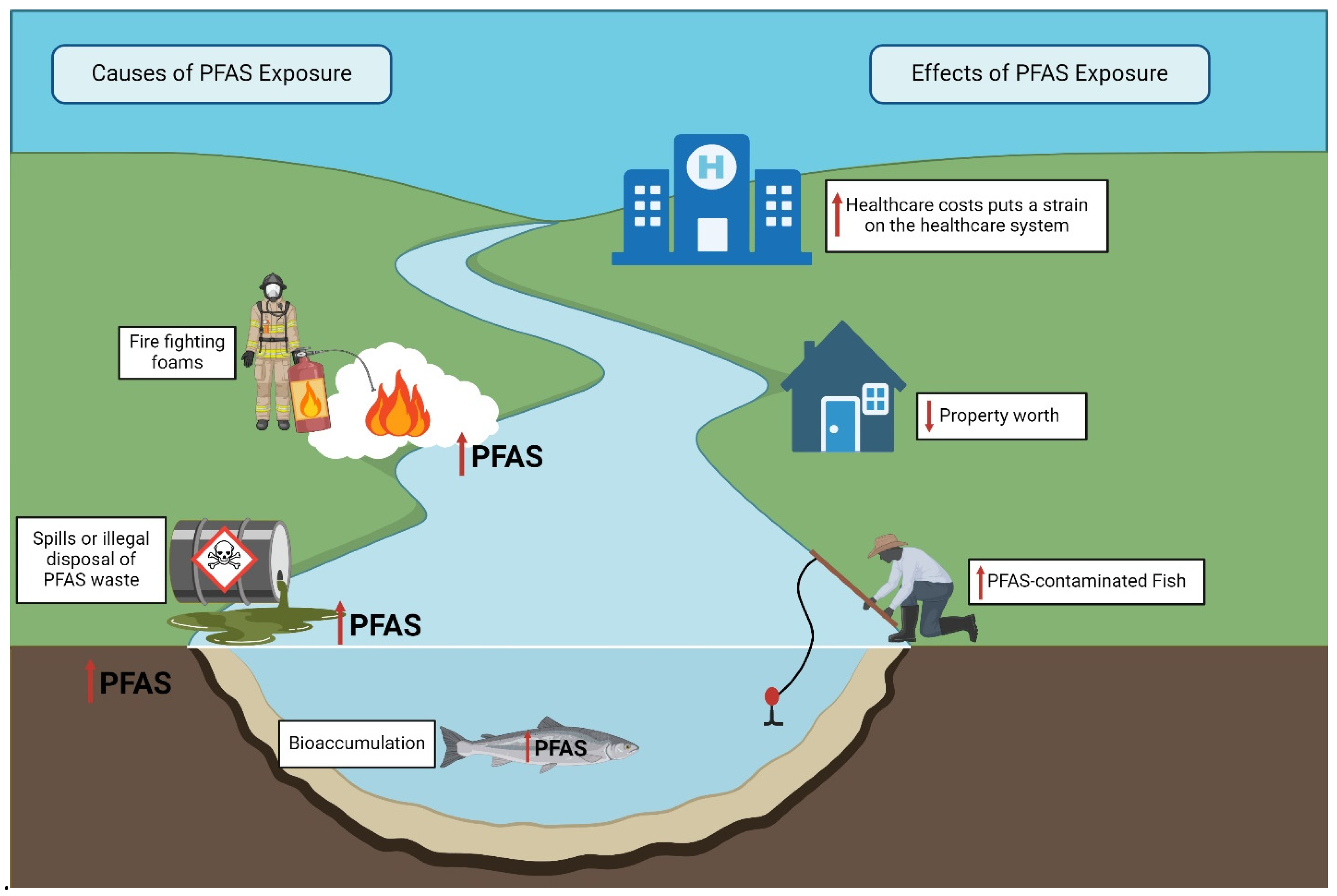 Toxics 13 00732 g004 Toxics 13 00732 g004