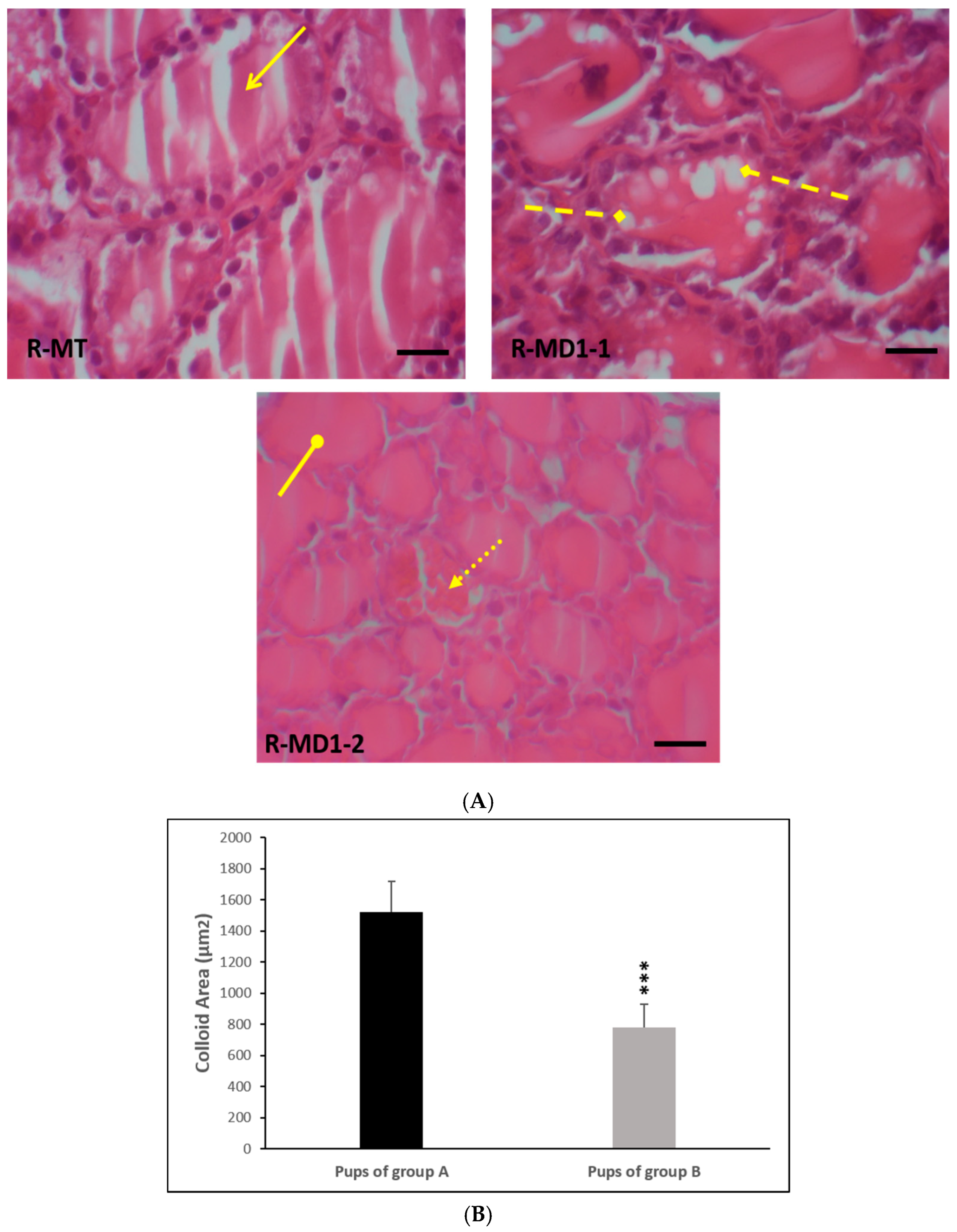 Toxics 13 00752 g001 Toxics 13 00752 g001