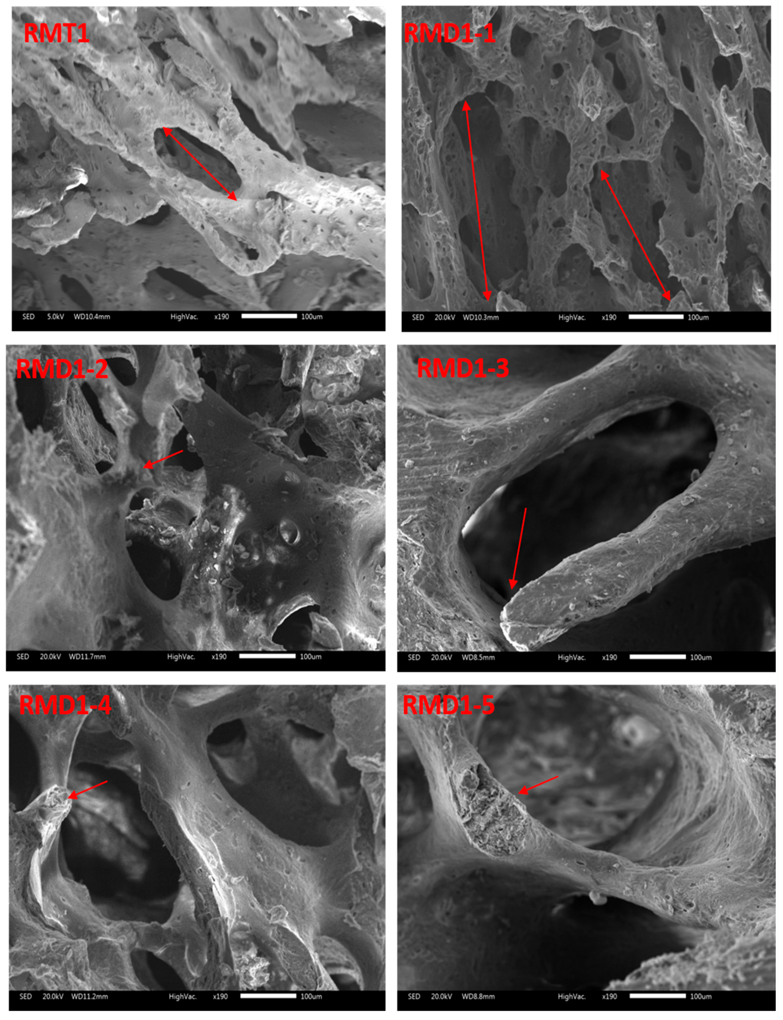 Toxics 13 00752 g004 Toxics 13 00752 g004