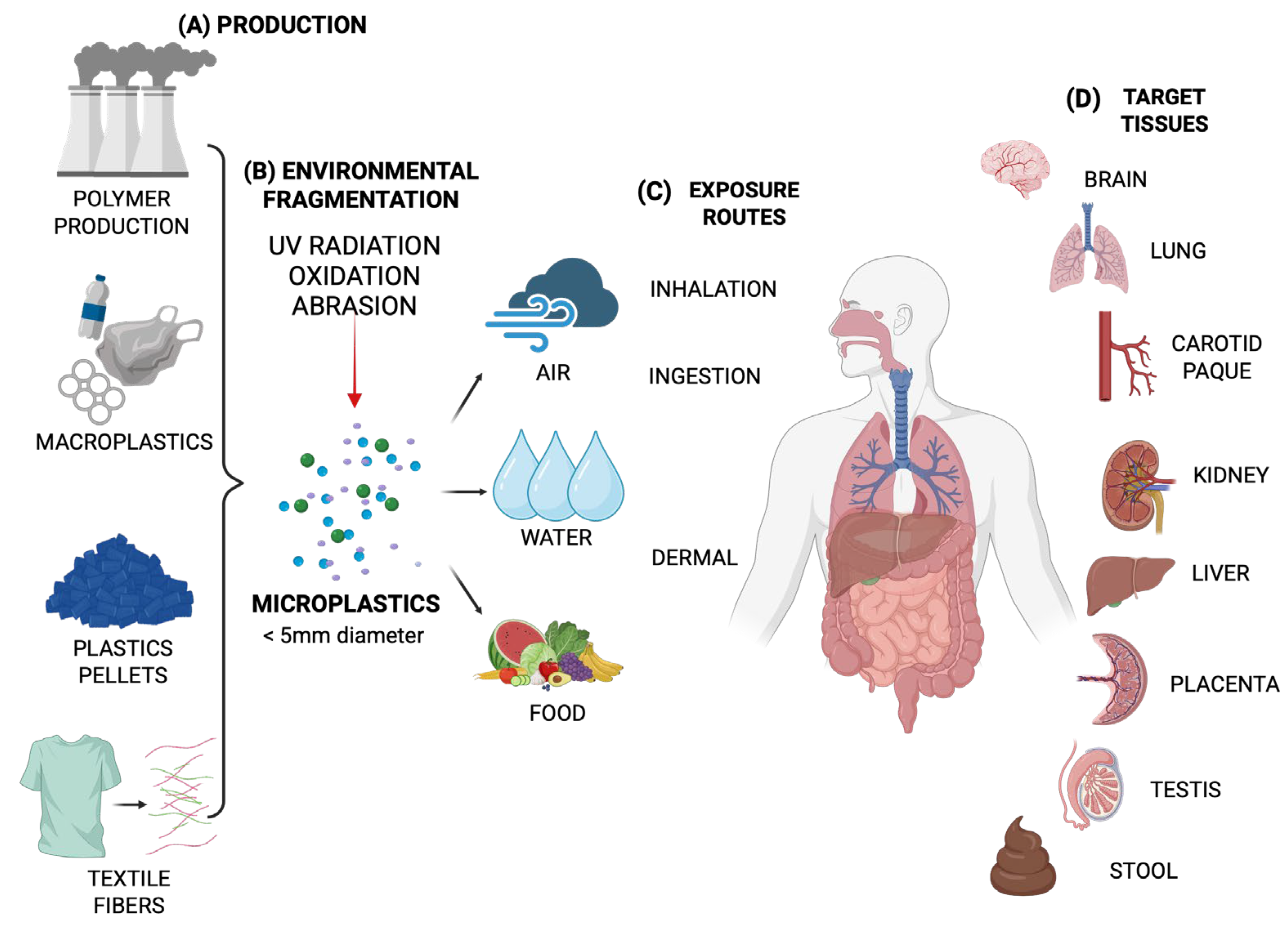 Toxics 13 00756 g001 Toxics 13 00756 g001