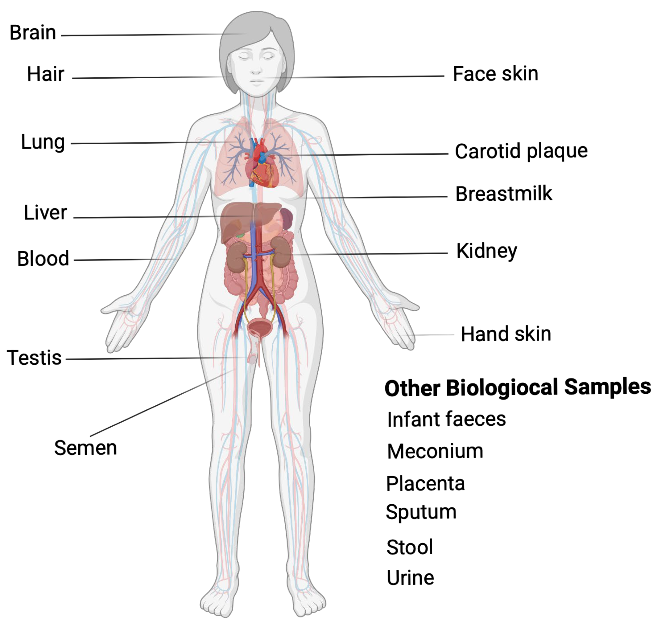 Toxics 13 00756 g003 Toxics 13 00756 g003