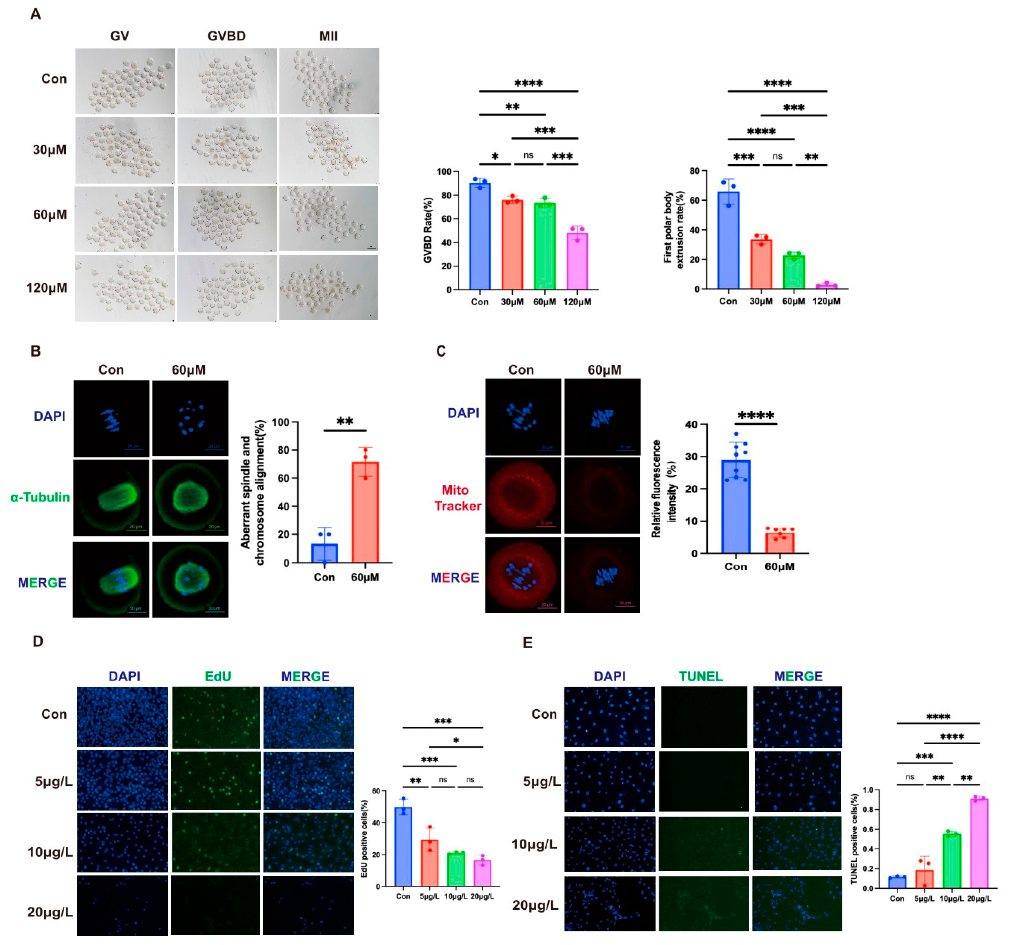 Toxics 13 00763 g003 Toxics 13 00763 g003