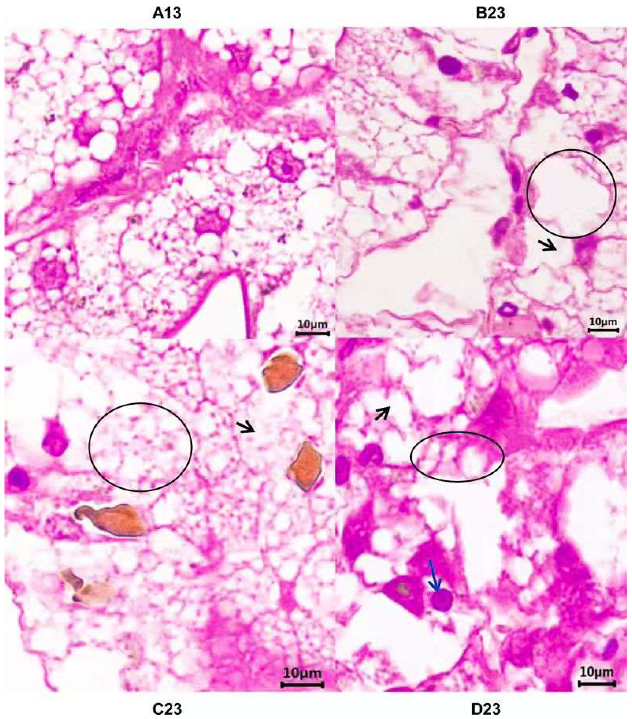 Toxics 13 00765 g001 Toxics 13 00765 g001