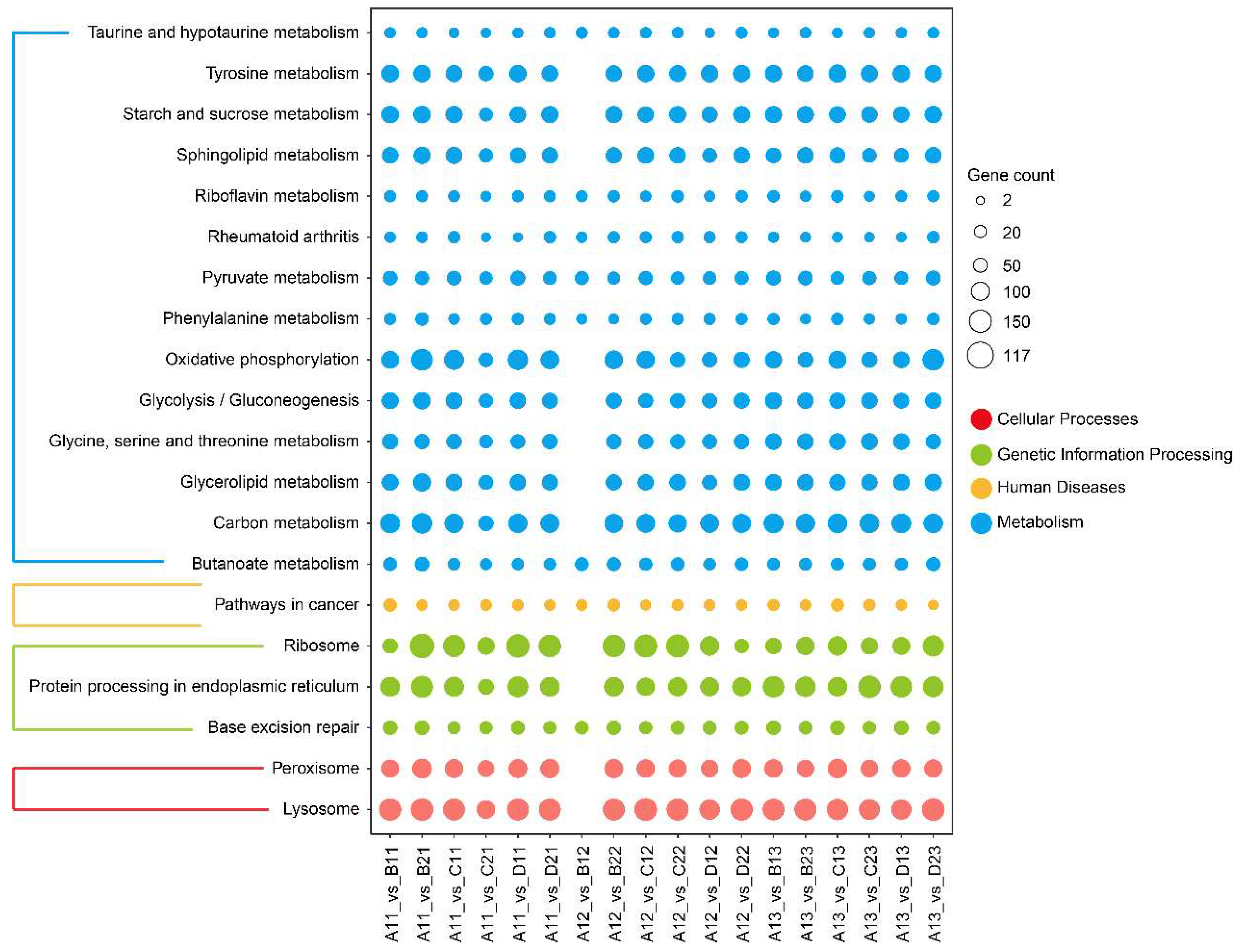 Toxics 13 00765 g002 Toxics 13 00765 g002