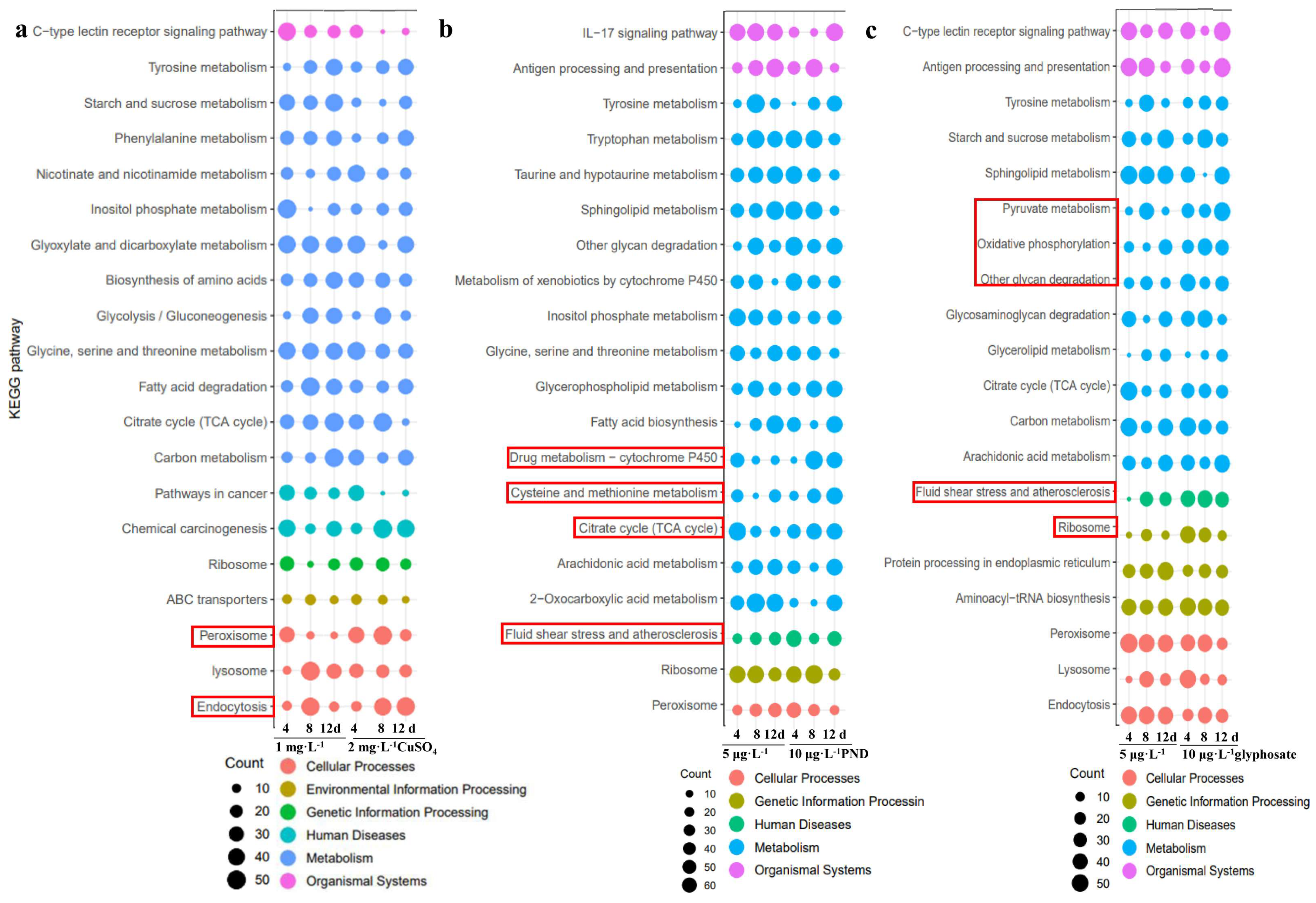 Toxics 13 00765 g003 Toxics 13 00765 g003