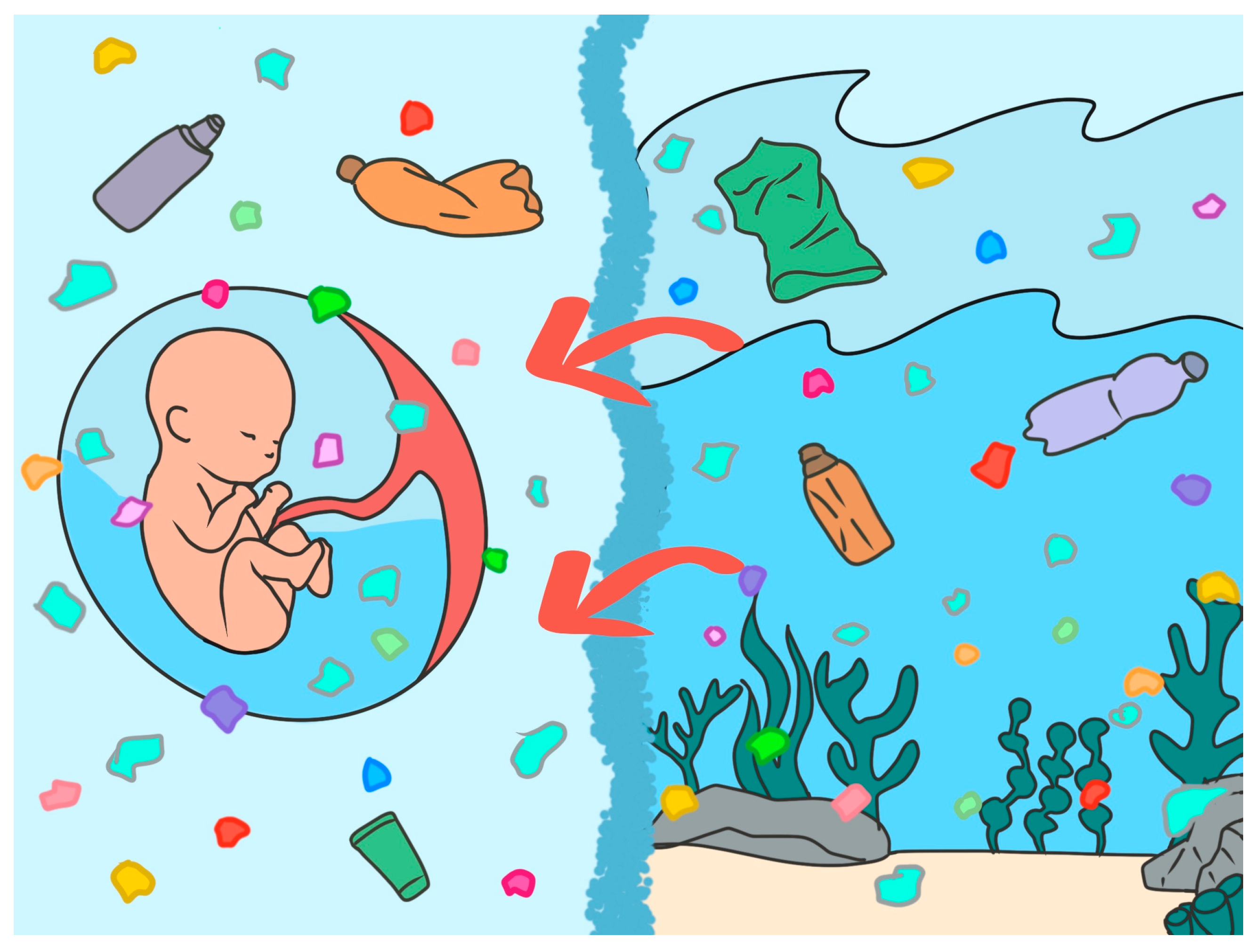 Toxics 13 00776 g001 Toxics 13 00776 g001