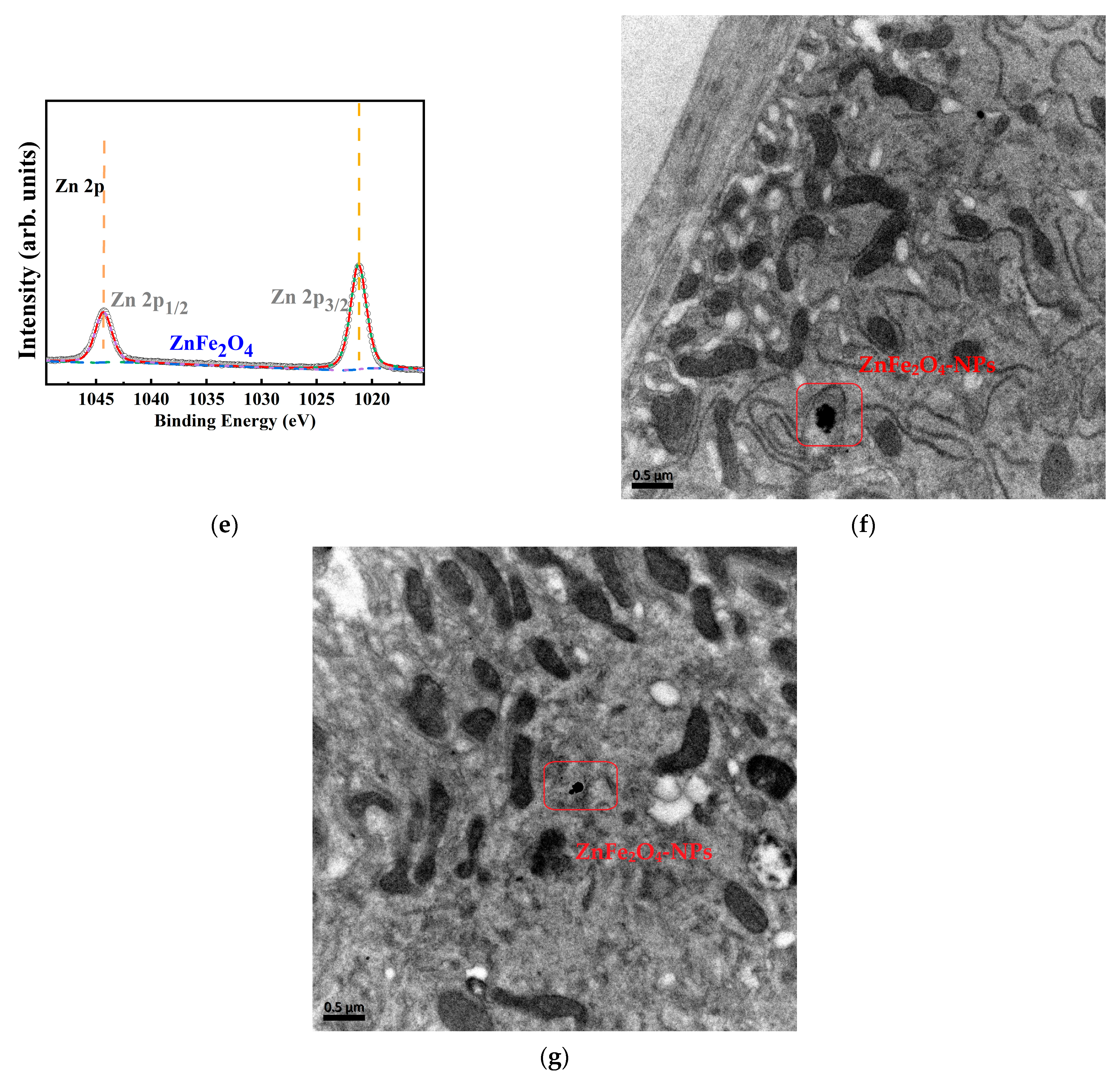 Toxics 13 00779 g001b Toxics 13 00779 g001b