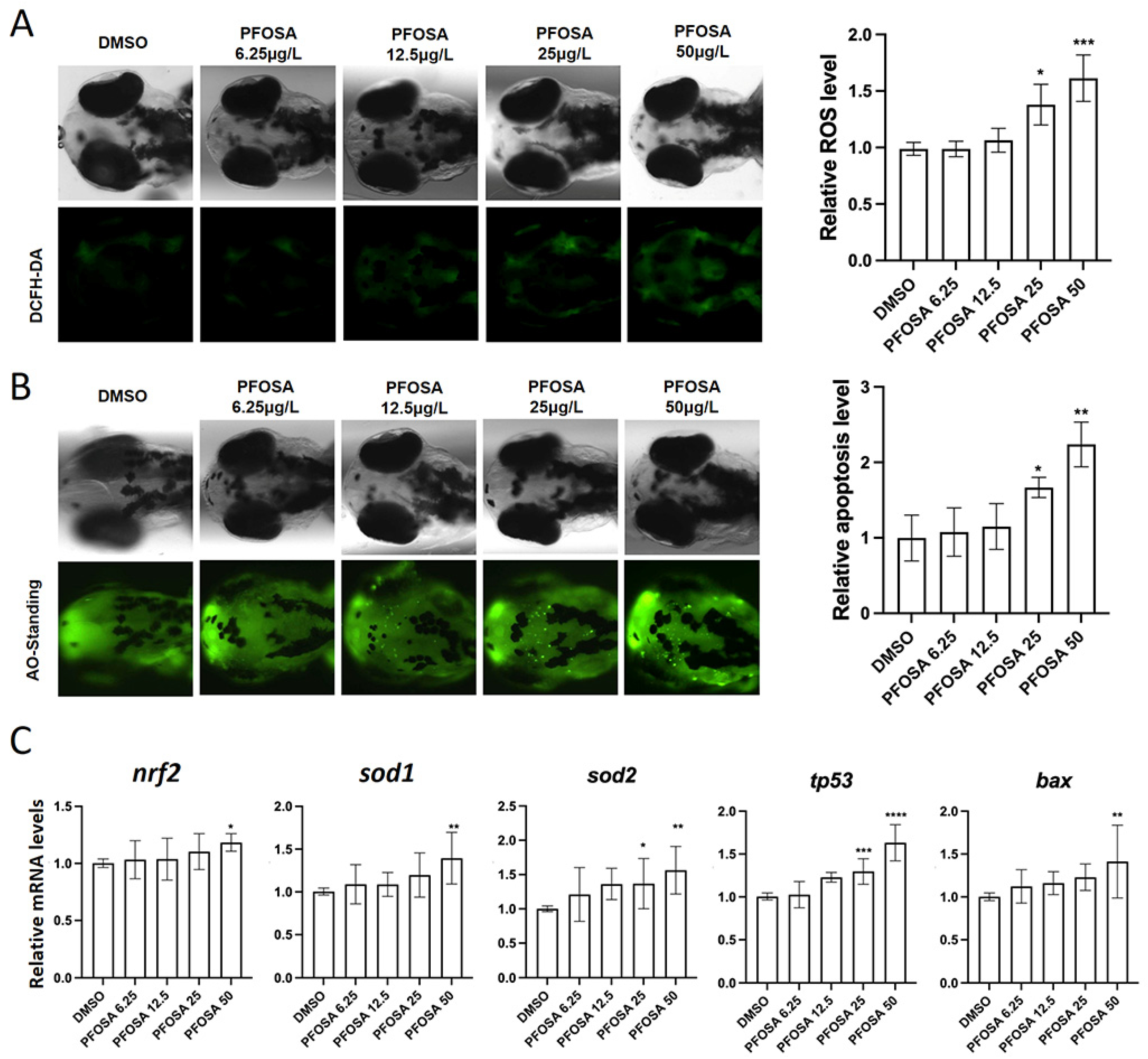 Toxics 13 00832 g003 Toxics 13 00832 g003