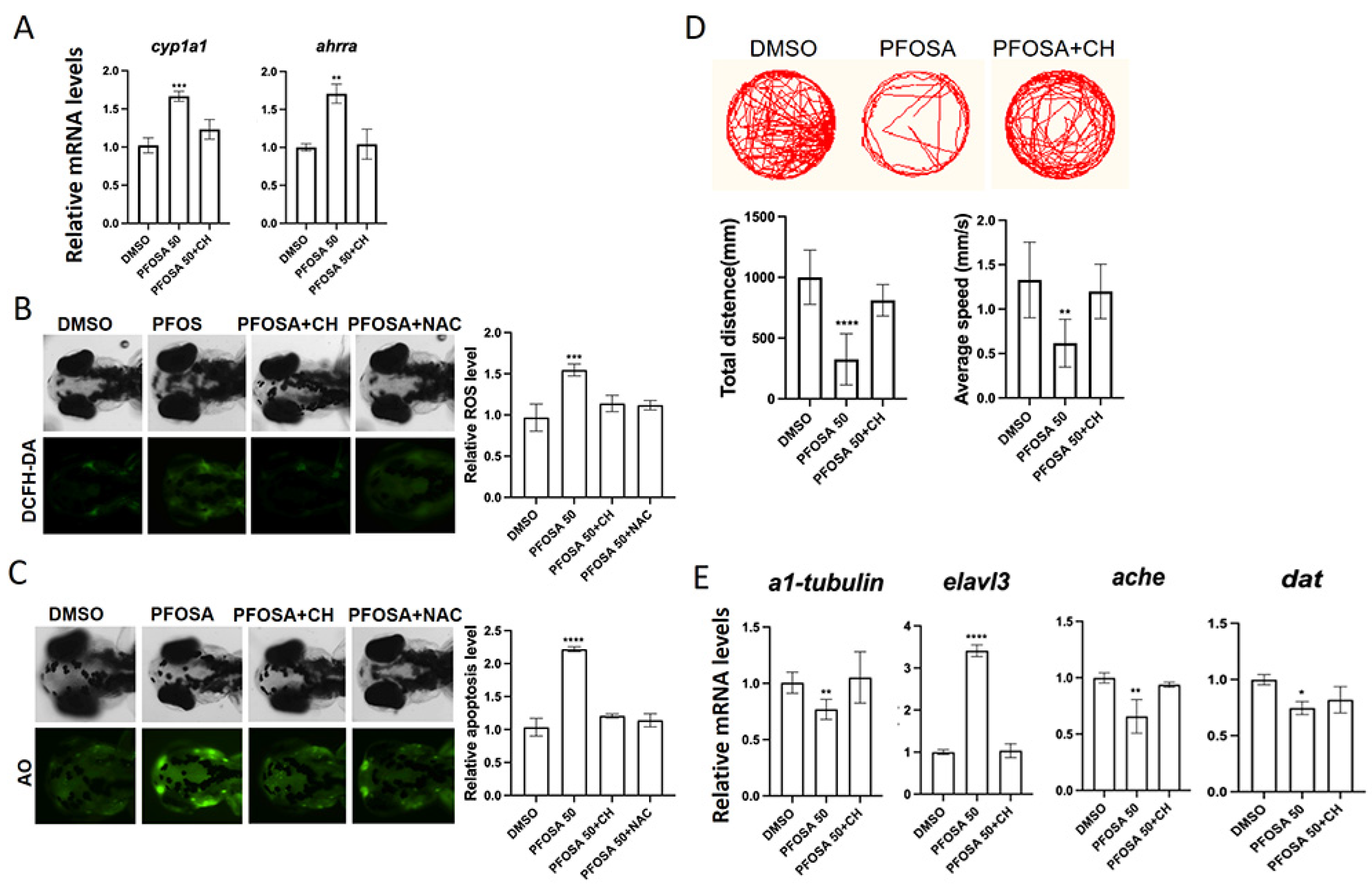 Toxics 13 00832 g004 Toxics 13 00832 g004