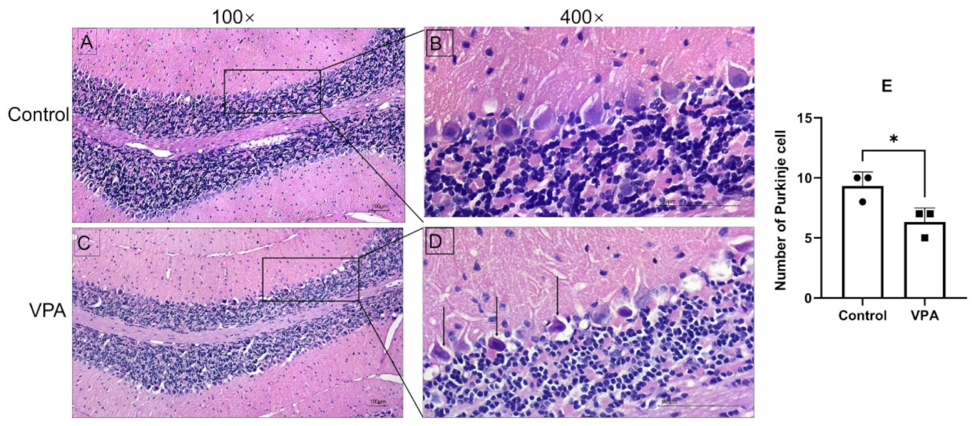 Toxics 13 00833 g003 Toxics 13 00833 g003