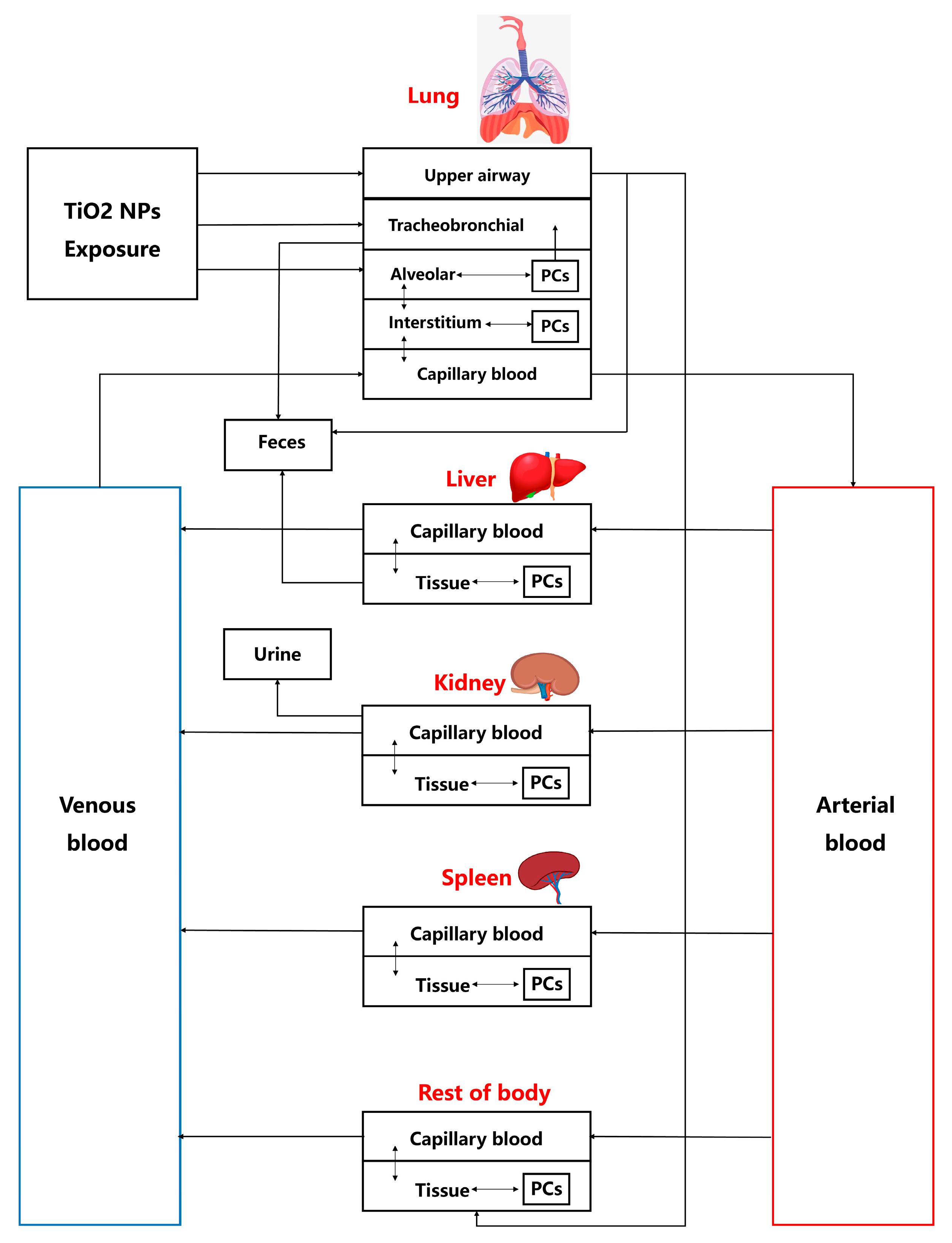 Toxics 13 00858 g001 Toxics 13 00858 g001