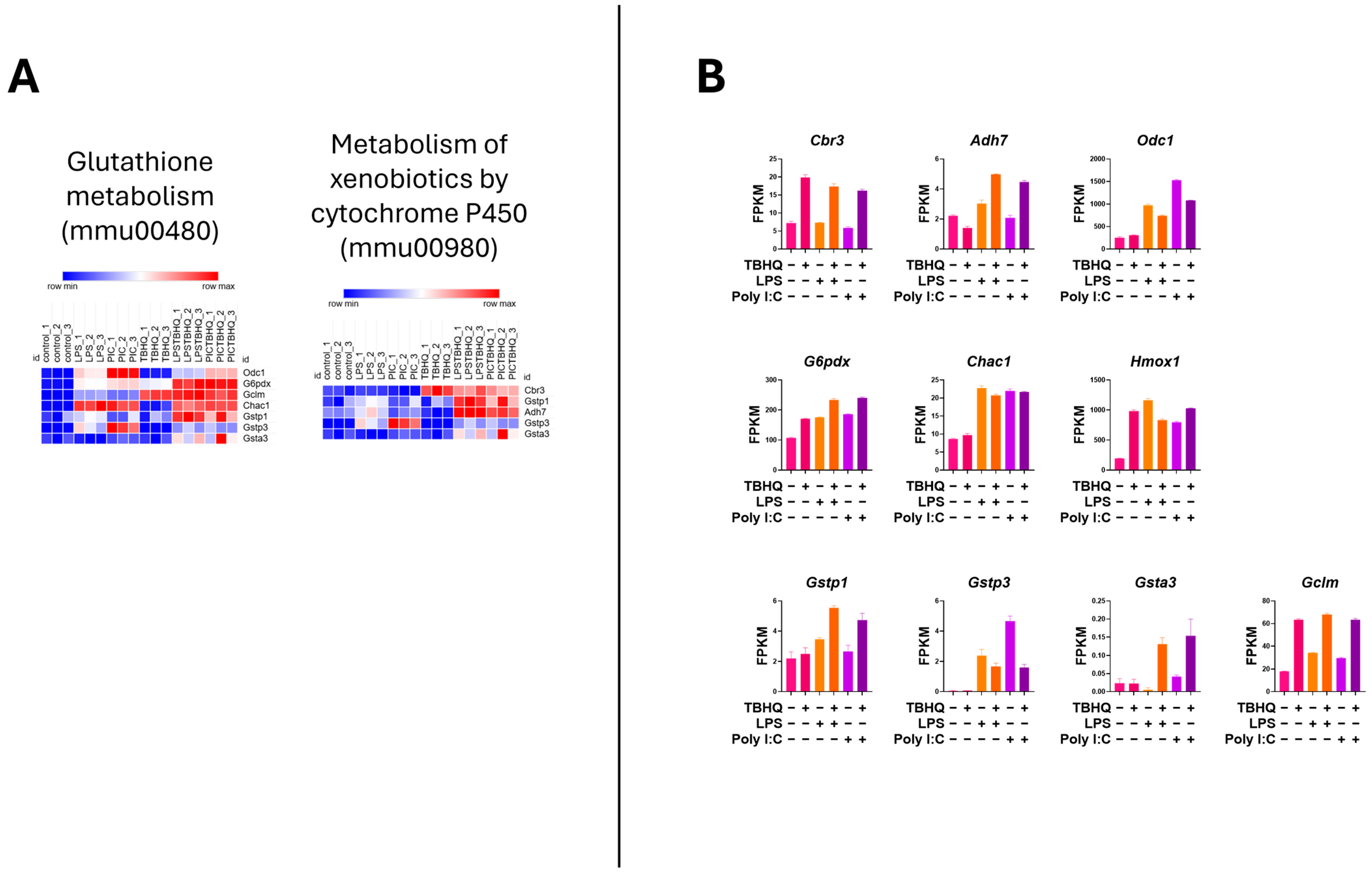 Toxics 13 00883 g007 Toxics 13 00883 g007