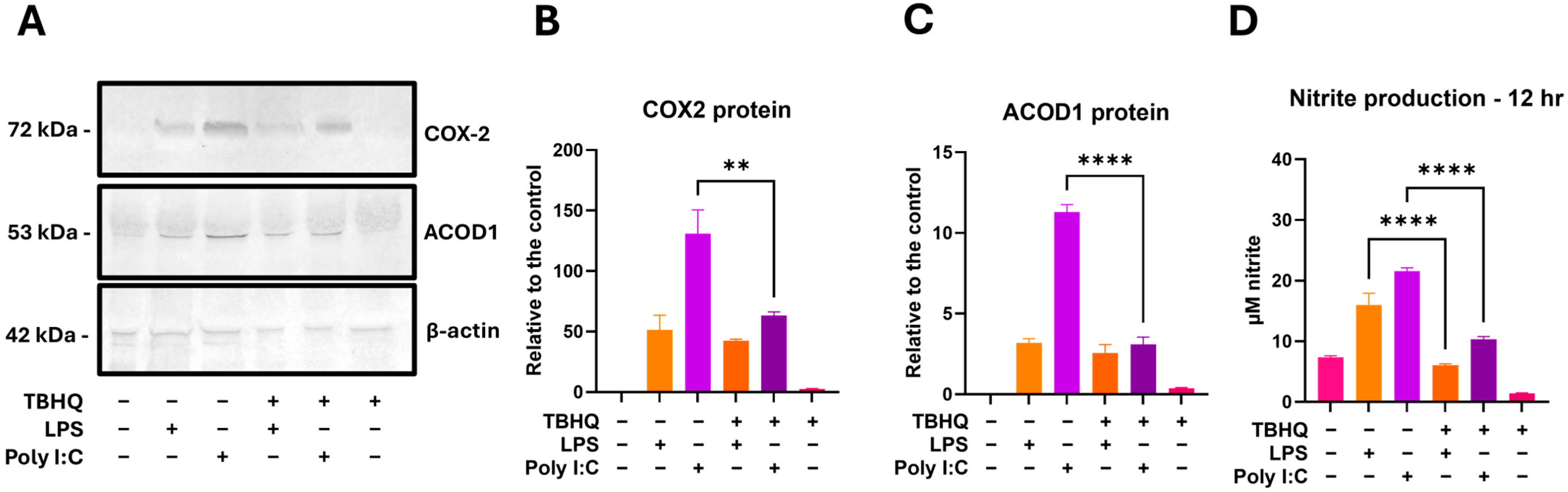 Toxics 13 00883 g009 Toxics 13 00883 g009