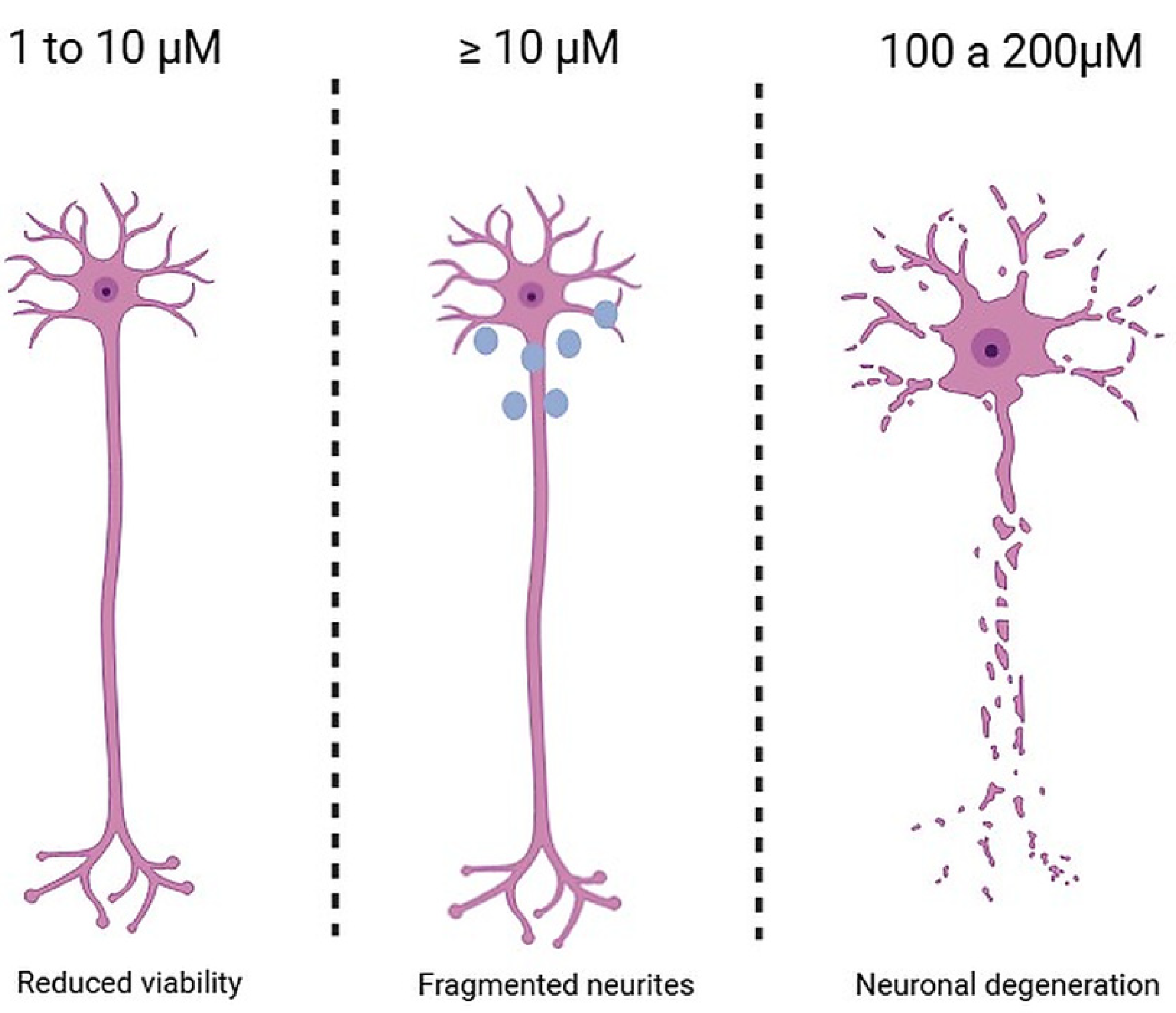 Toxics 13 00888 g002 Toxics 13 00888 g002