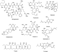 Toxins | Free Full-Text | Modes Of Action Of Microbially-Produced ...