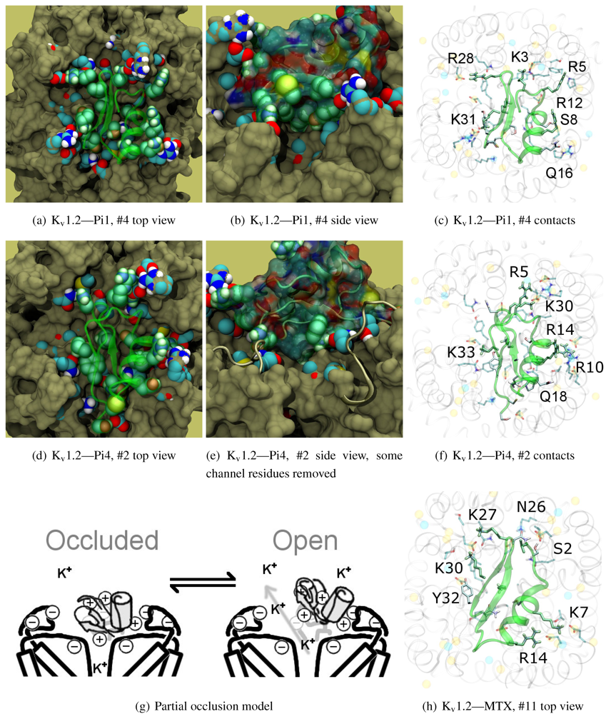 Toxins | Special Issue : Animal Toxins Targeting Ion Channels Involved