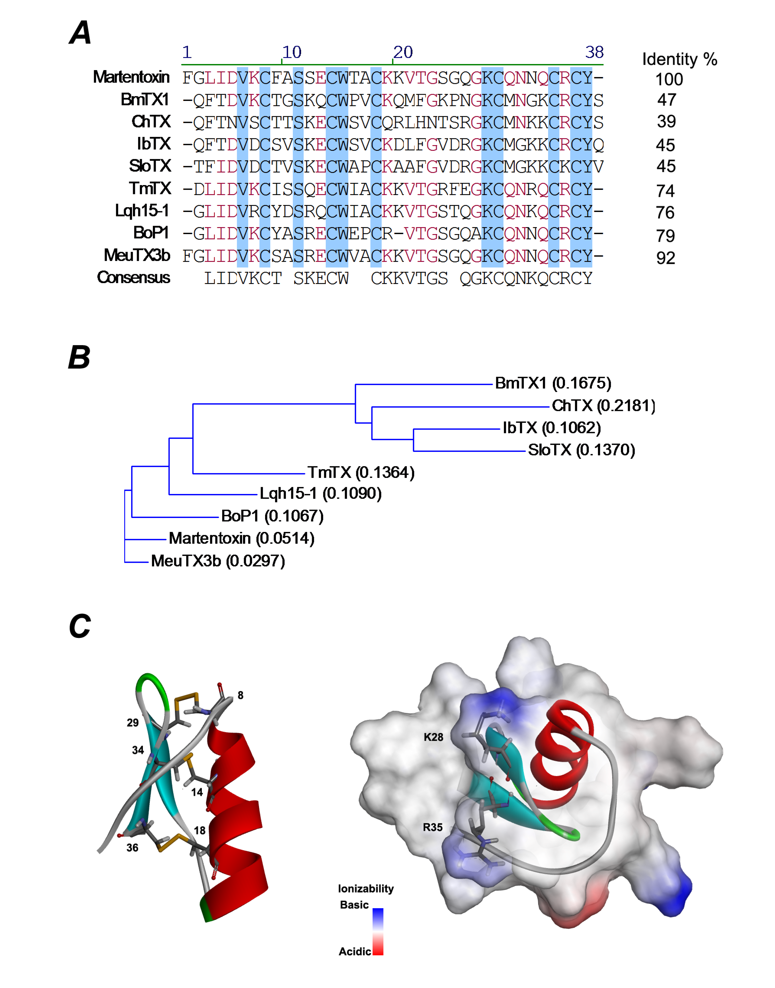 Toxins | Free Full-Text | Recombinant Expression and Functional  Characterization of Martentoxin: A Selective Inhibitor for BK Channel (α +  β4)