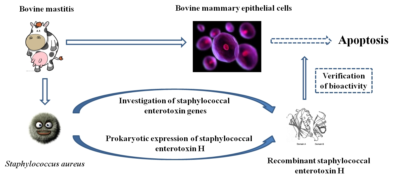 Toxins | Free Full-Text | Staphylococcal Enterotoxin H Induced