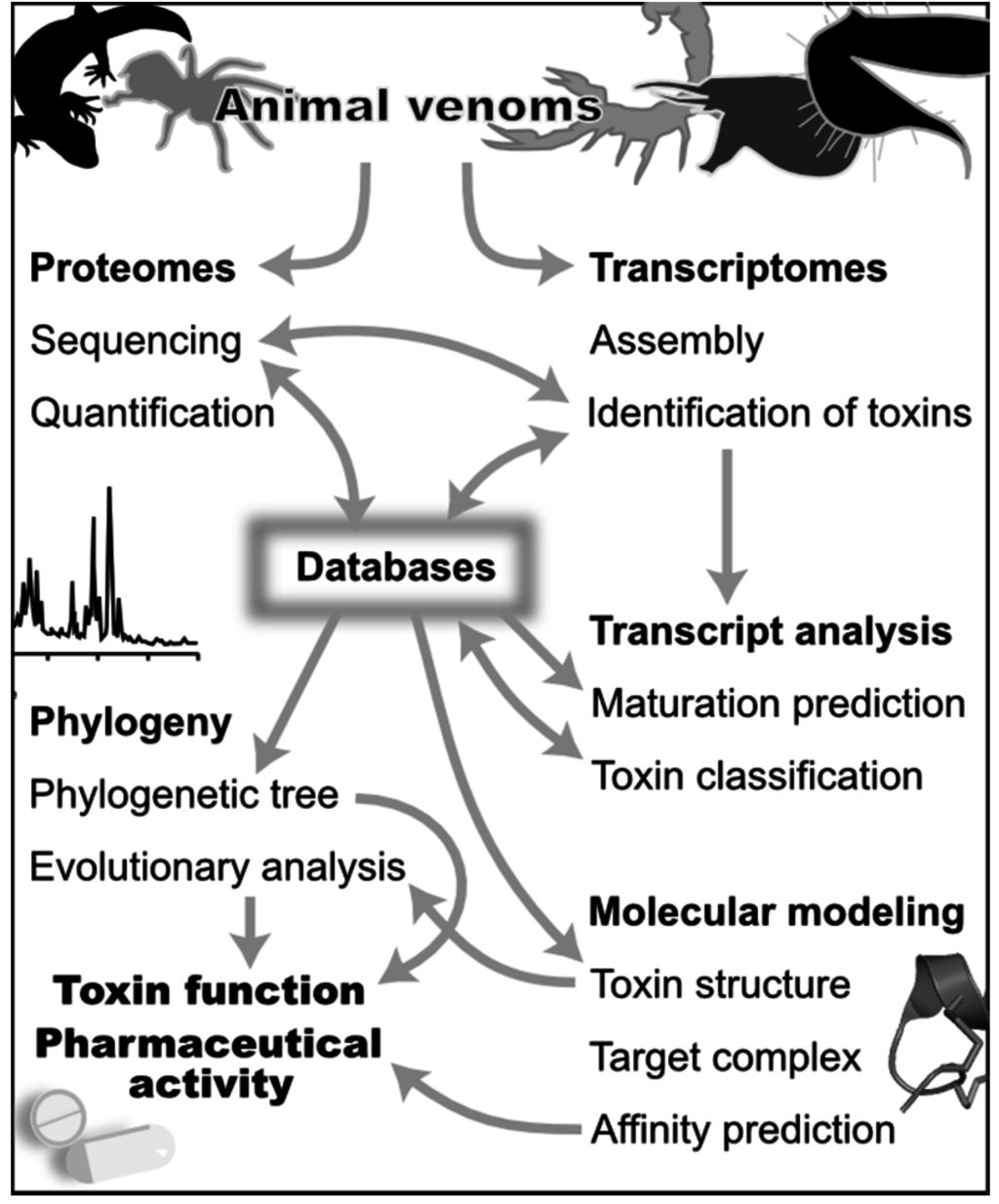 Toxins Free Full Text Bioinformatics Aided Venomics 1565